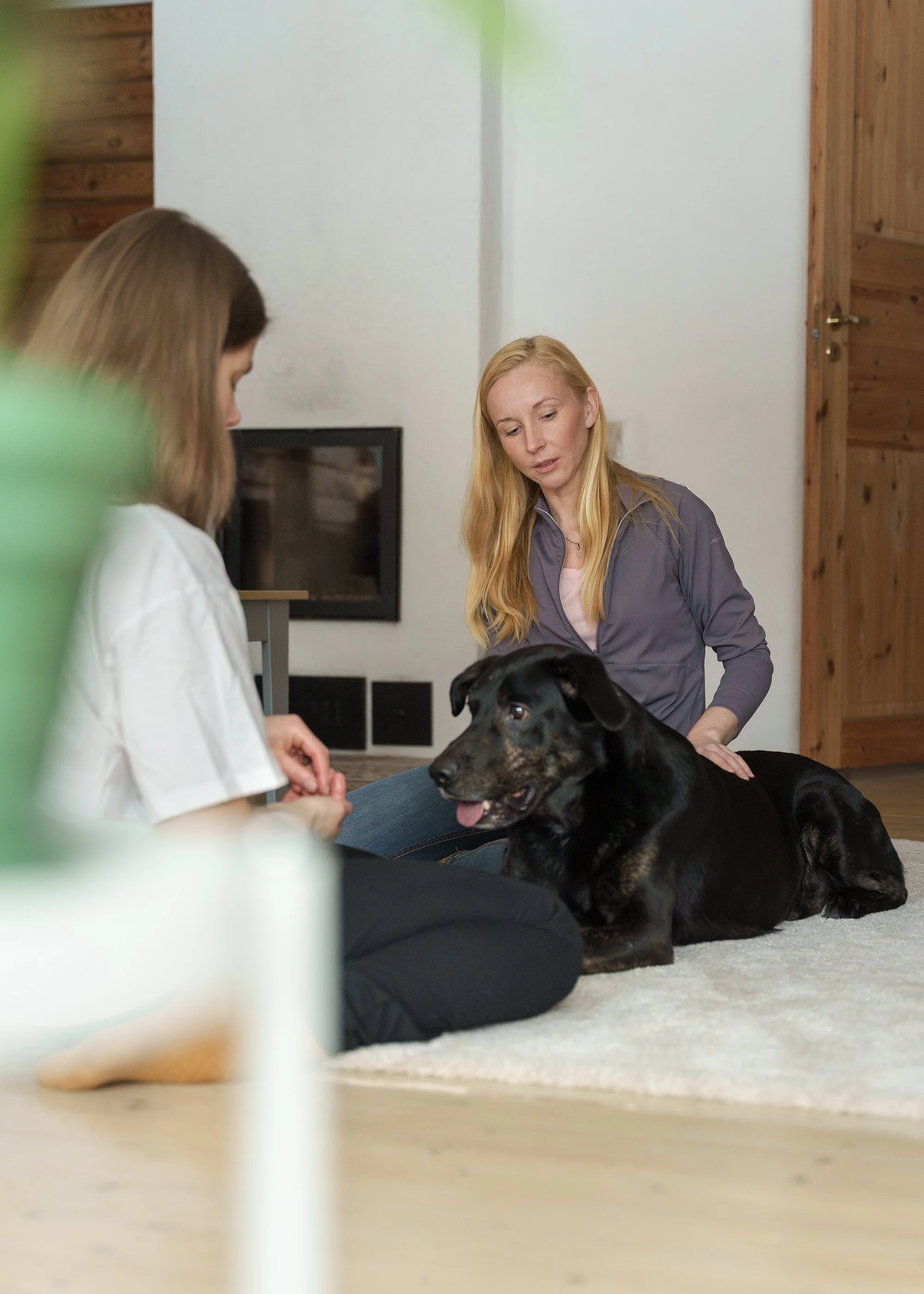 koeraaarmastus helina tammeleht koera pilt käitumisnõustamine koerte treenimine koeratreener käitumisnõustaja üksindusahastus.jpg