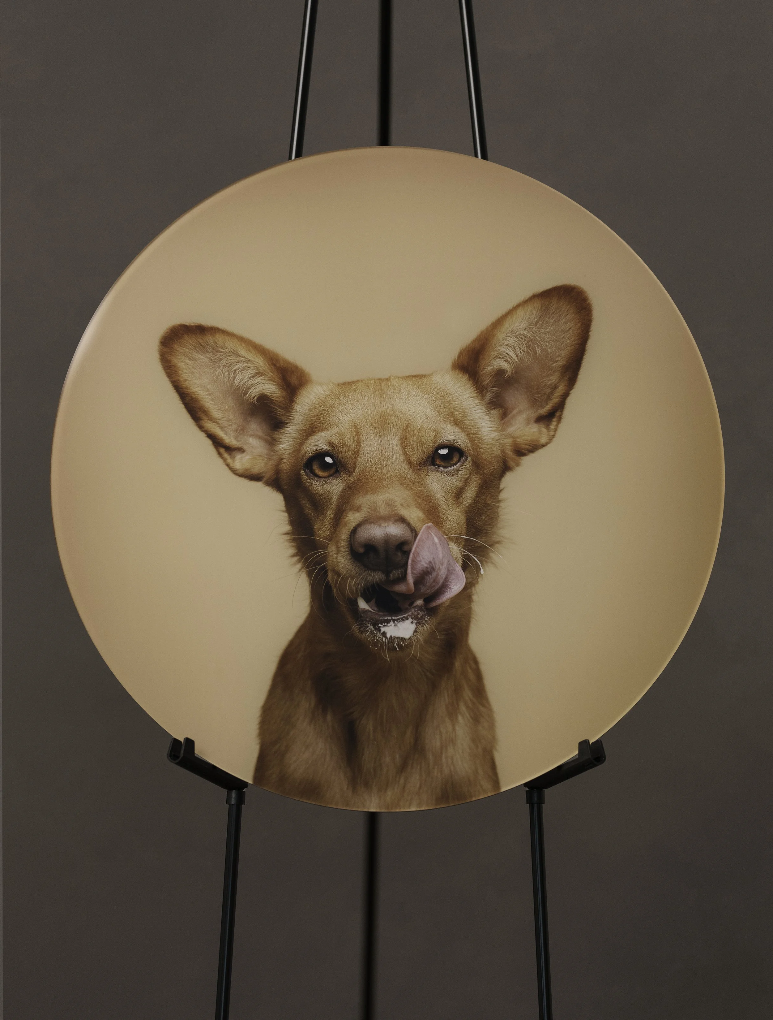 Akrüülorb copy.jpg