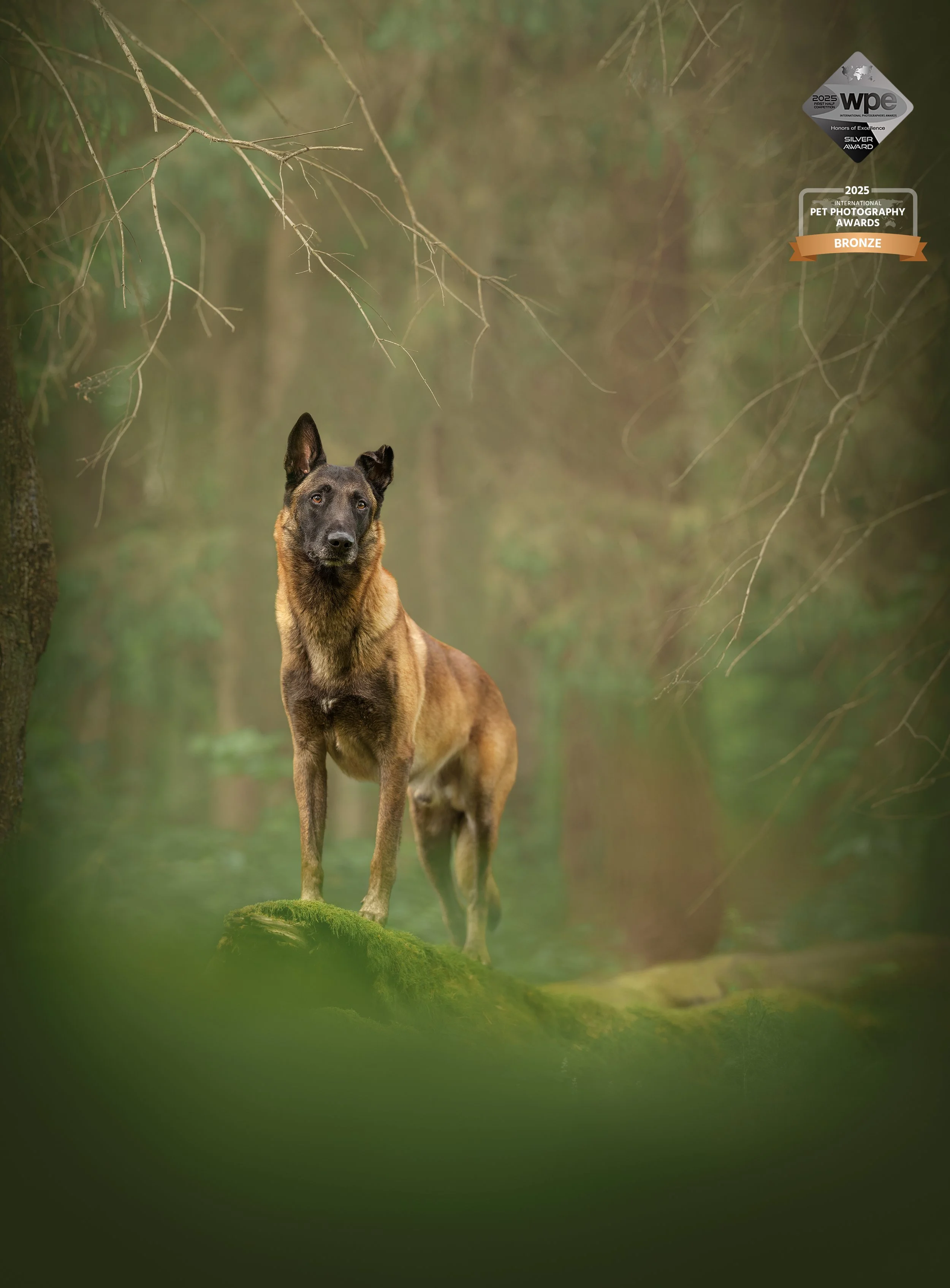 koeraga matkama männikjärve