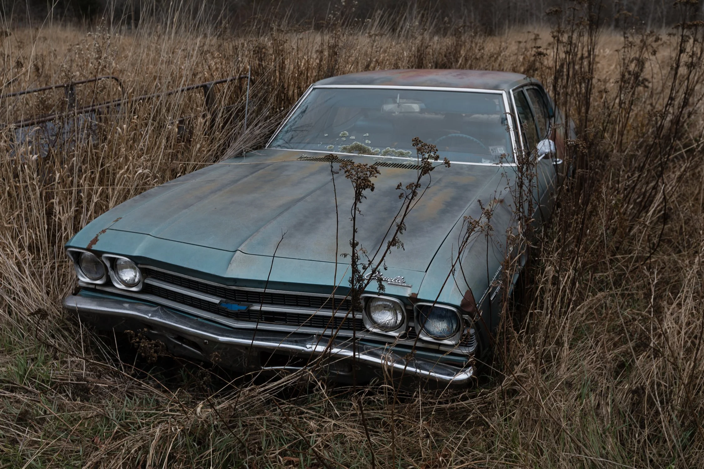 Auto clásico abandonado entre pastizales altos