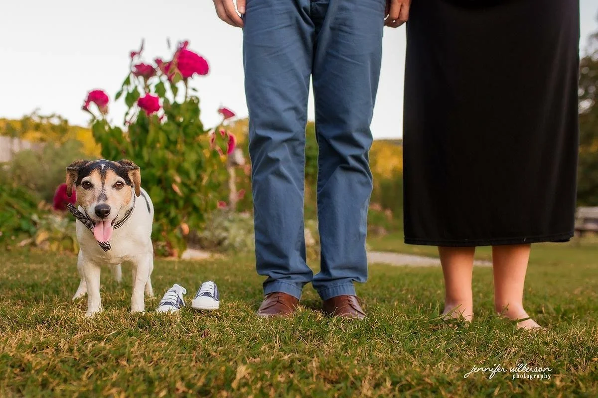 Baby Announcement with Dog