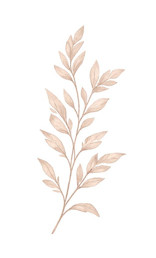 A beige-colored, dried branch with multiple elongated leaves against a black background.