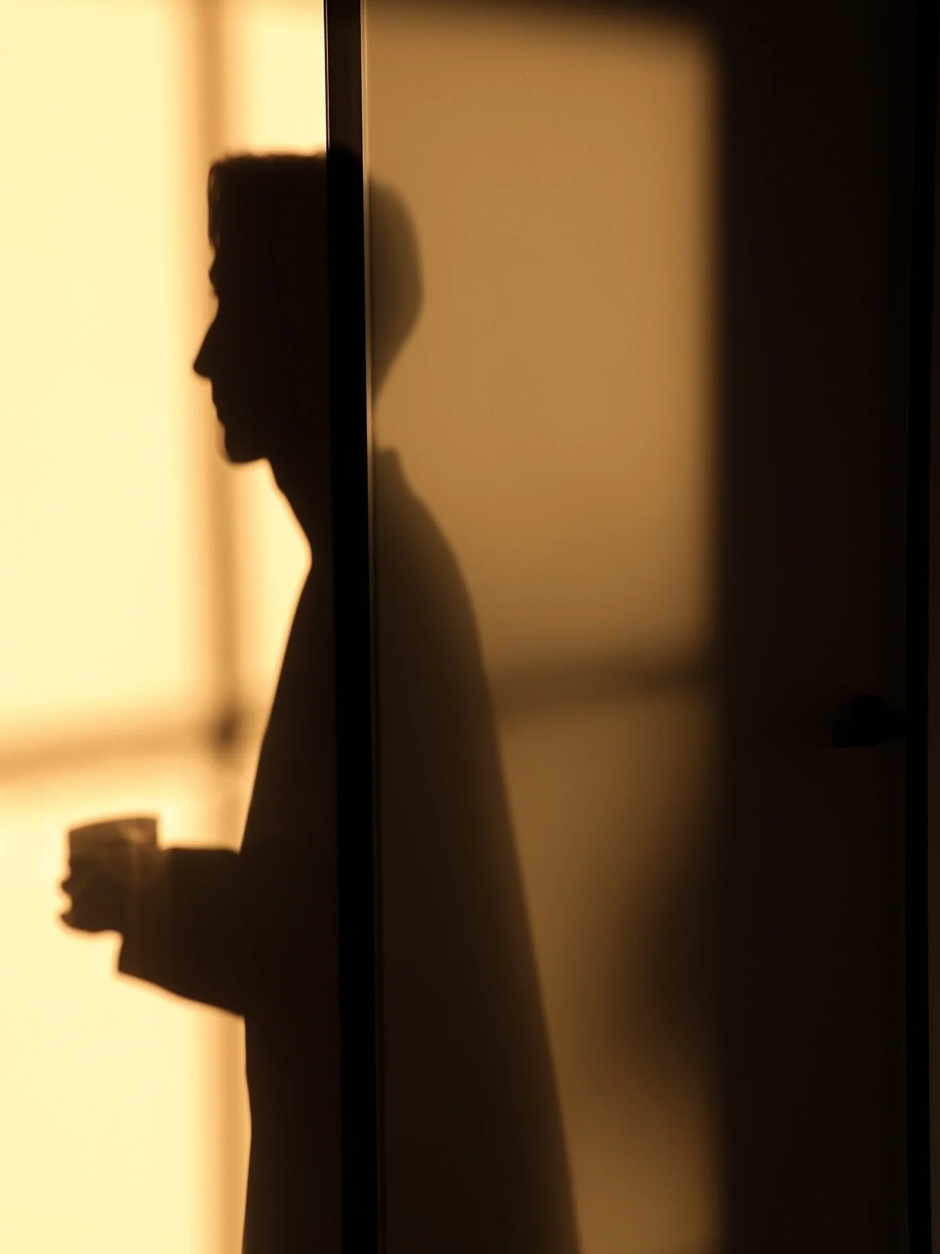 There&rsquo;s a certain calm in this space. The minimalist frames and glass doors by @griffwerk meet the afternoon light at @slowlofts. Embodying slow living through simplicity and timeless quality.