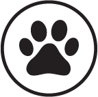 pet-friendly.png