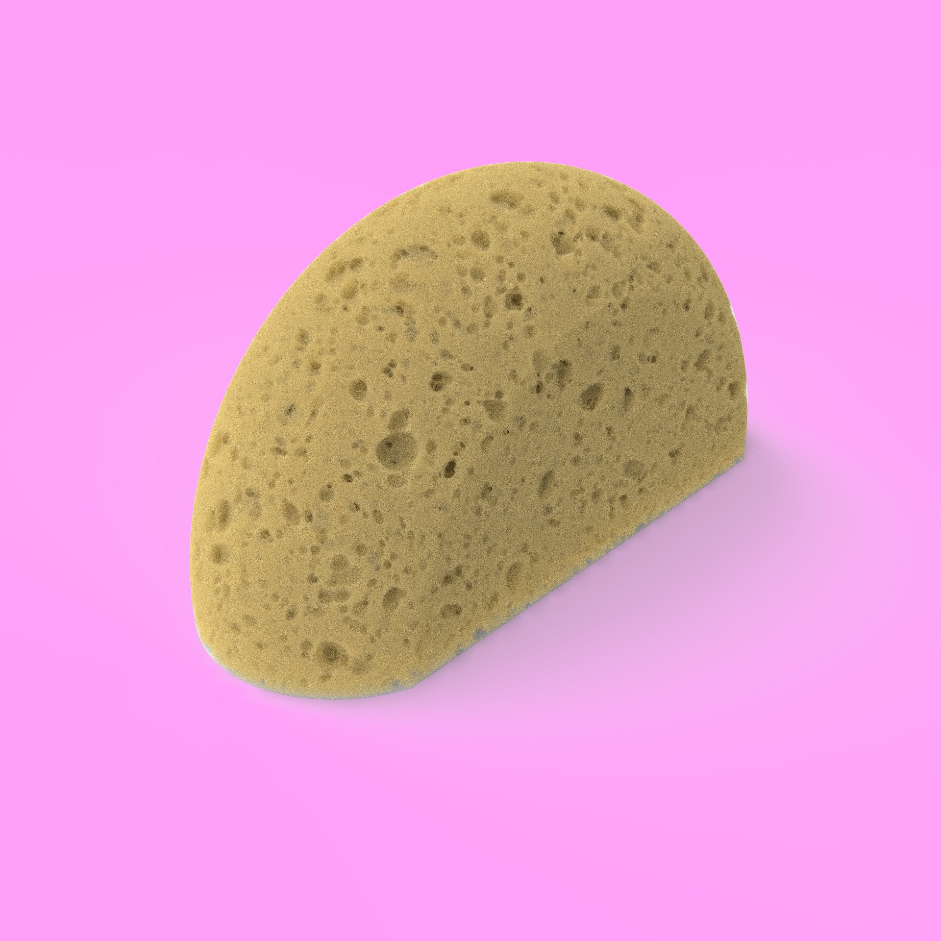 Sponge.jpg