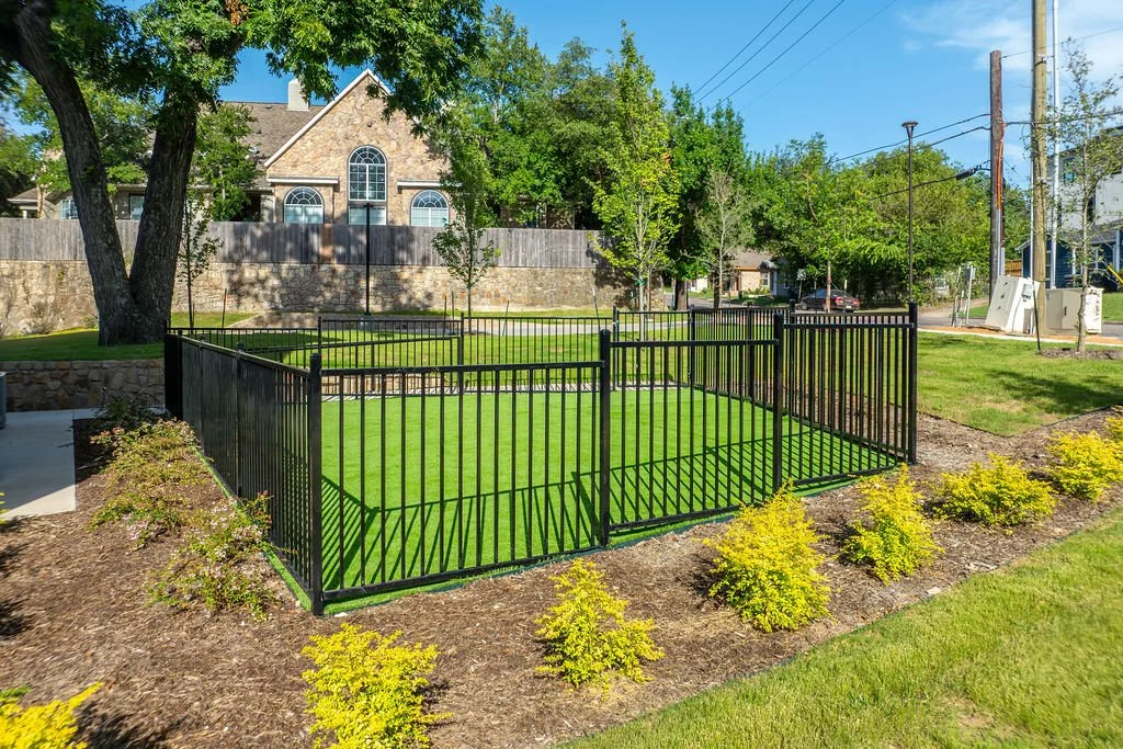 Small enclosed yard with green grass, yellow shrubs, and trees, surrounded by a black metal fence, with a house, trees, and street in the background.