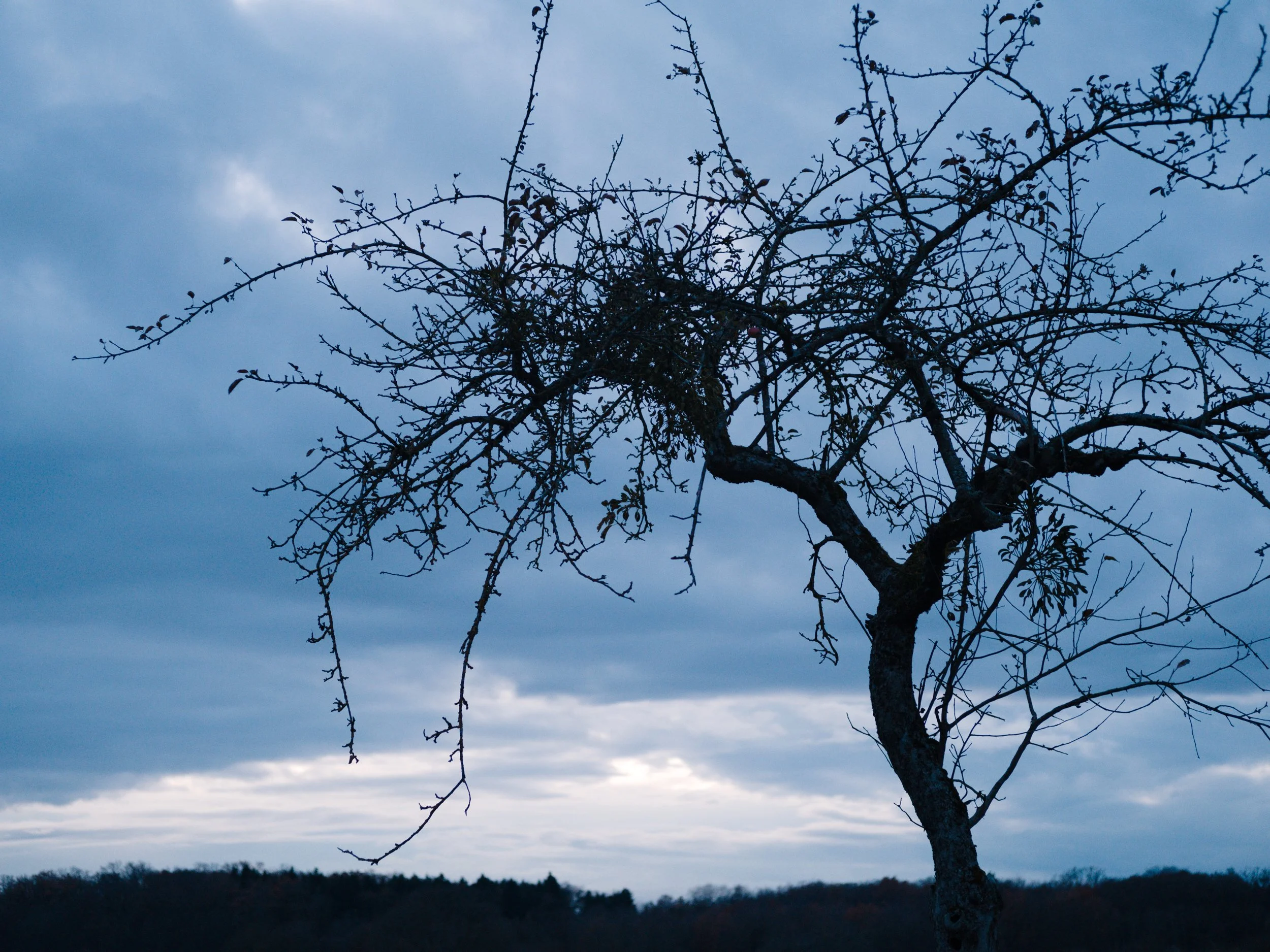 Framing the Light
November 2025
Leica M10-P - Summicron-M 1:2 50mm