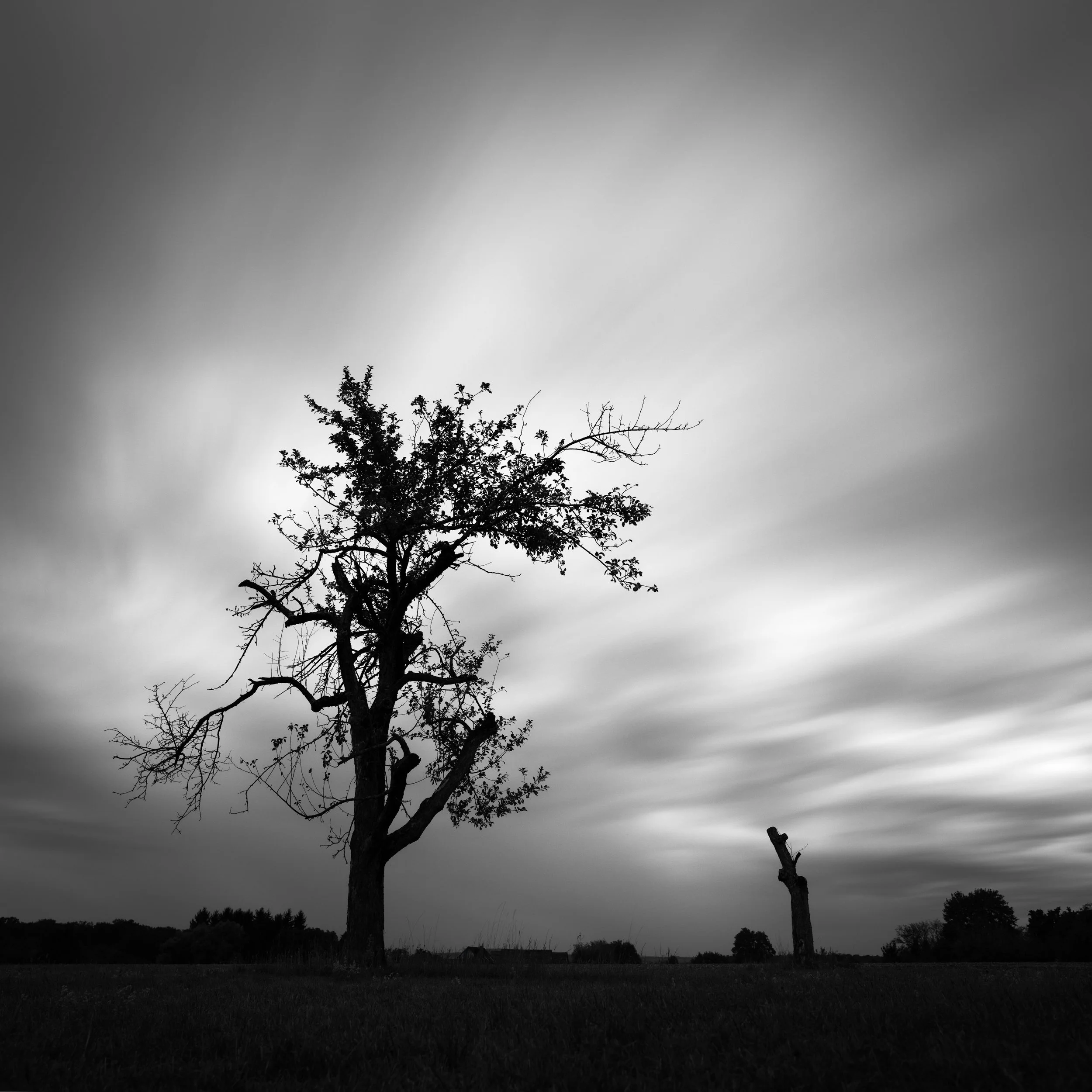 Cloudy Longexposure
August 2026
Rainy day after sunset. Combined four 30 second exposures to one 2 minute exposure.