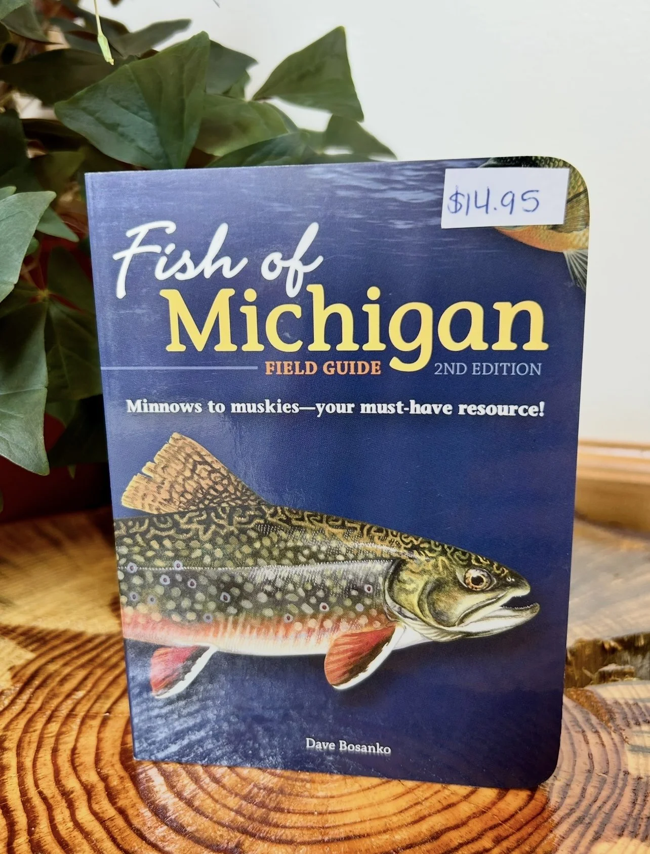 Mi Fish Fish of Michigan Field Guide — Mecosta CD