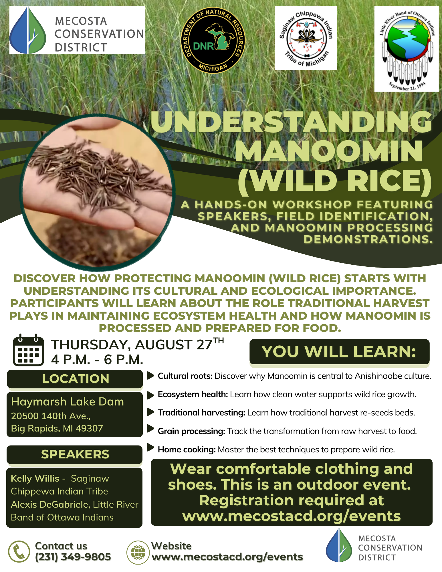 Manoomin Rice Understanding Manoomin (Wild Rice) — Mecosta CD