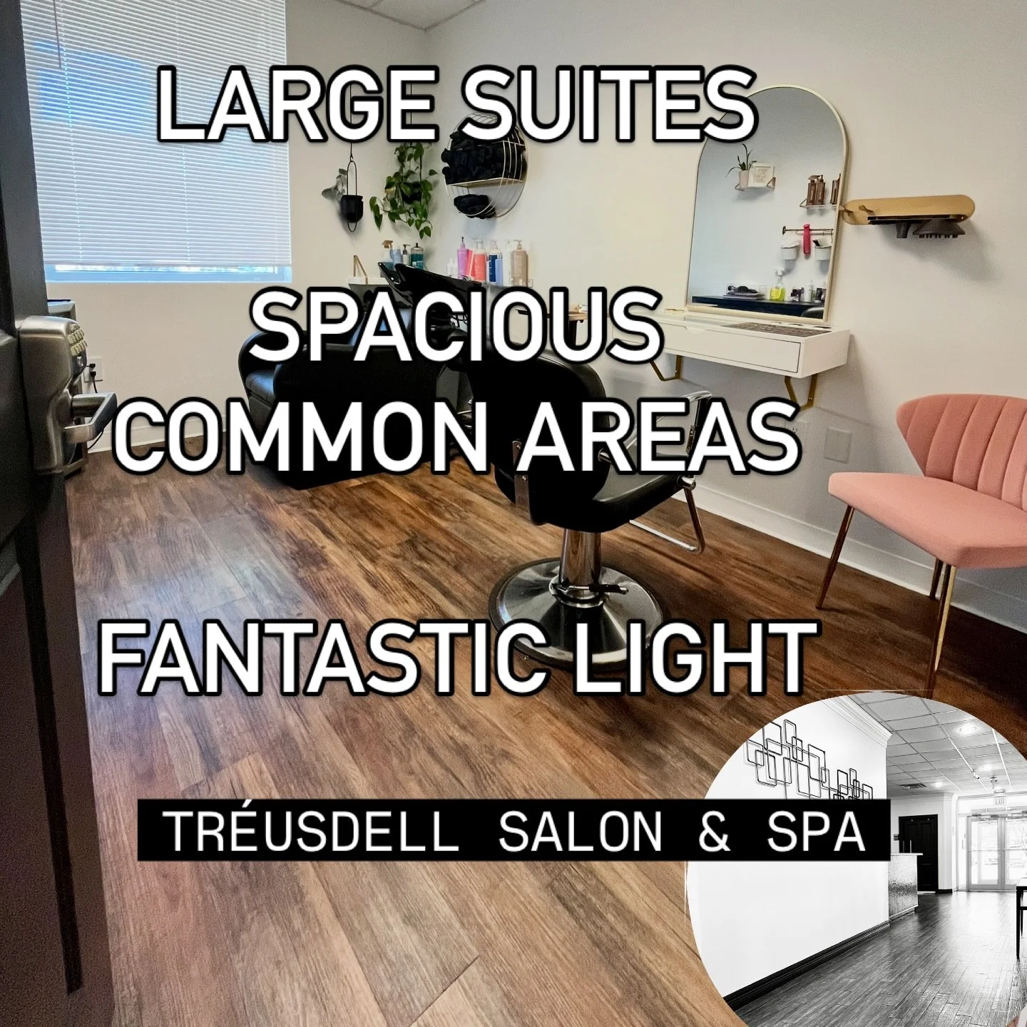 SPACE SPACE SPACE! 

Large Suites, spacious hallways and common areas and plenty of light make TreusDell Salon &amp; Spa THE place to be in San Antonio salon Suites! 

Come see us today!