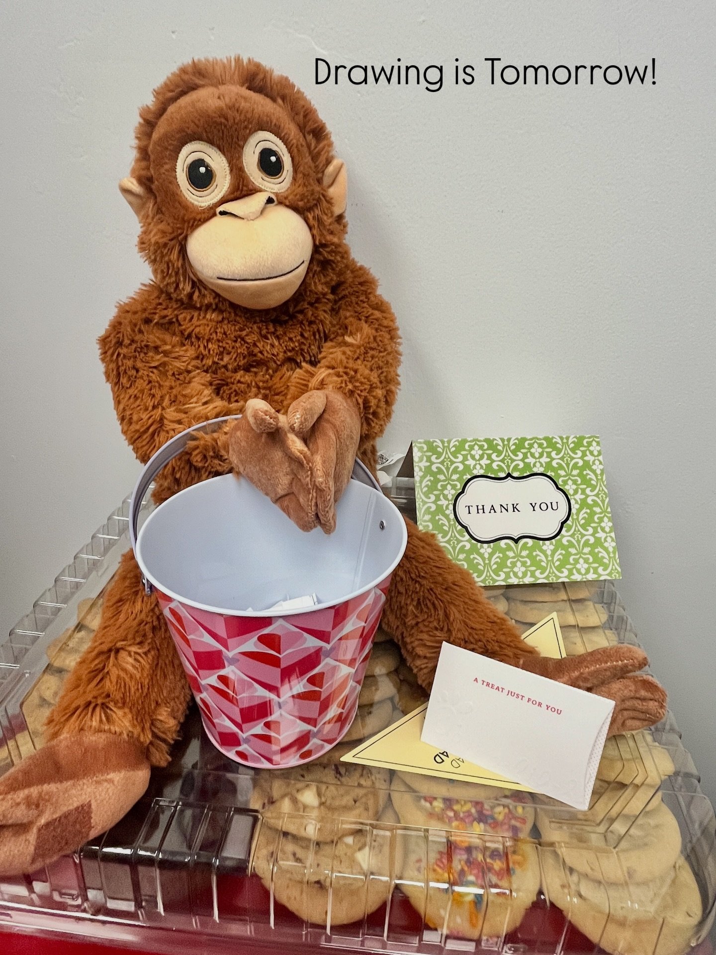 Good luck! 🍀 

Punch finds his new suite home tomorrow! 

#salonsuites #salonfun #sanantoniohairsalon