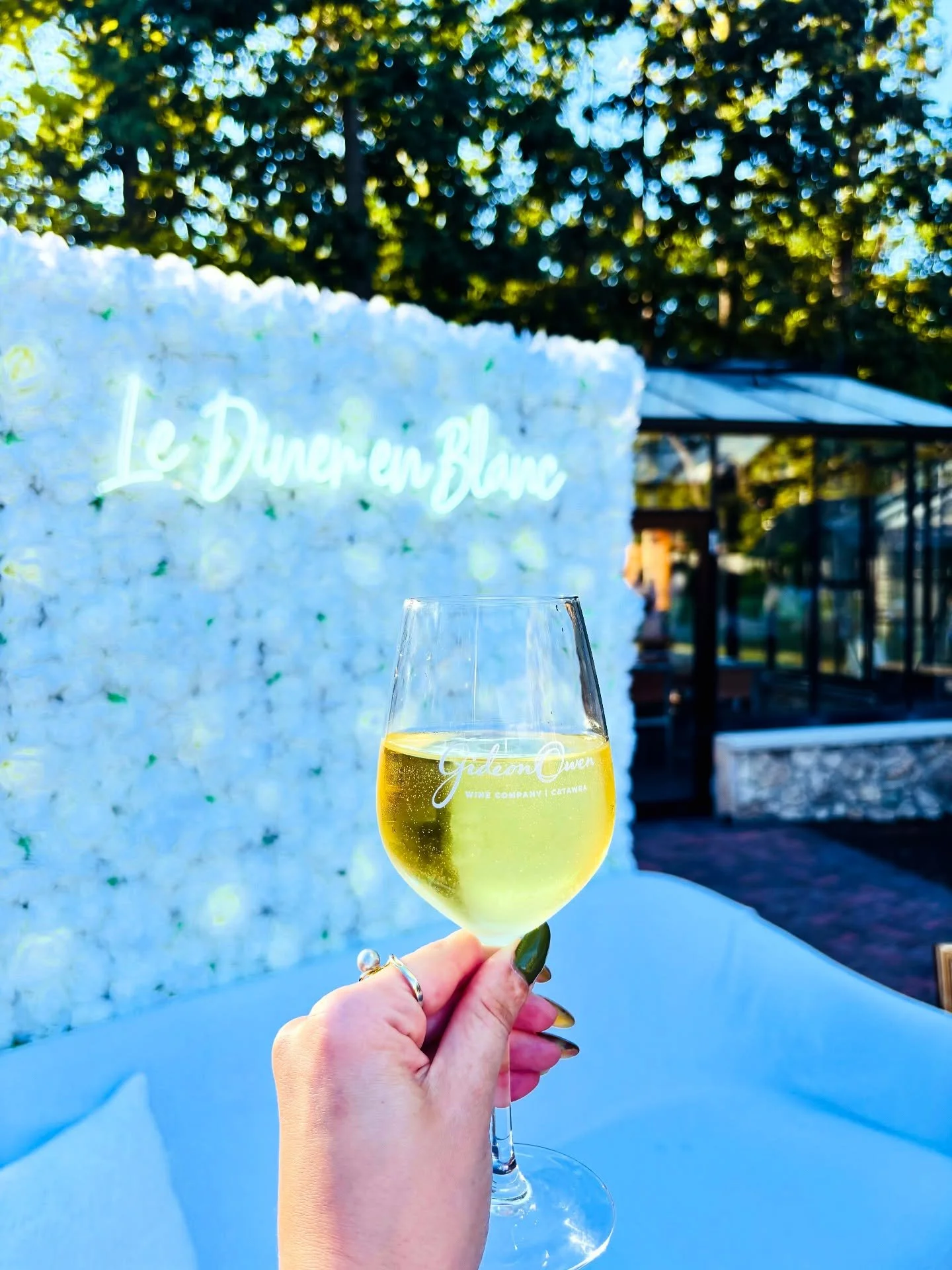 🤍🥂
Le Diner En Blanc - a unique &amp; timeless event rooted in community, food, &amp; togetherness! 🤞🏻
Two local businesses collide to create a stunning menu to woo &amp; wow in white - @root_to_rise_wellnesscafe &amp; @gideonowenwinecompany! 🤍
