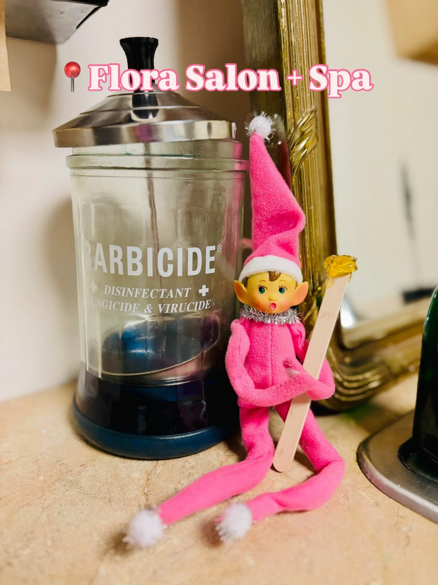 📍Fremont, OH &bull; Flora Salon + Spa 
Toodles paid a visit to the salon &amp; wants to say&hellip;
&ldquo;Self-care, don&rsquo;t delay&hellip;&rdquo;
&ldquo;At Flora, beauty blooms,
even on the coldest winter day!&rdquo; 💕❄️
Hair &bull; Nails &bul