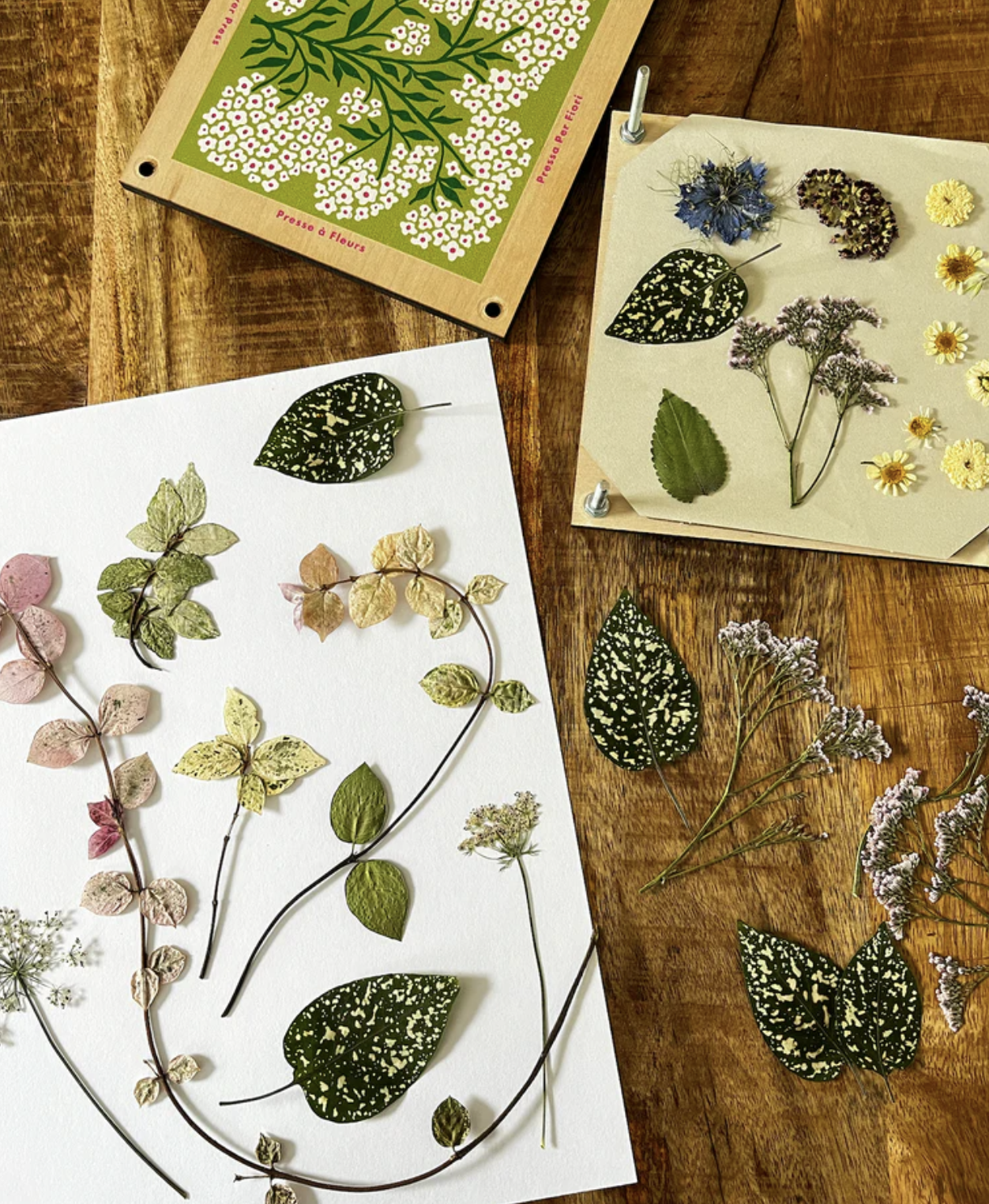 Flower + Foliage Pressing Workshop