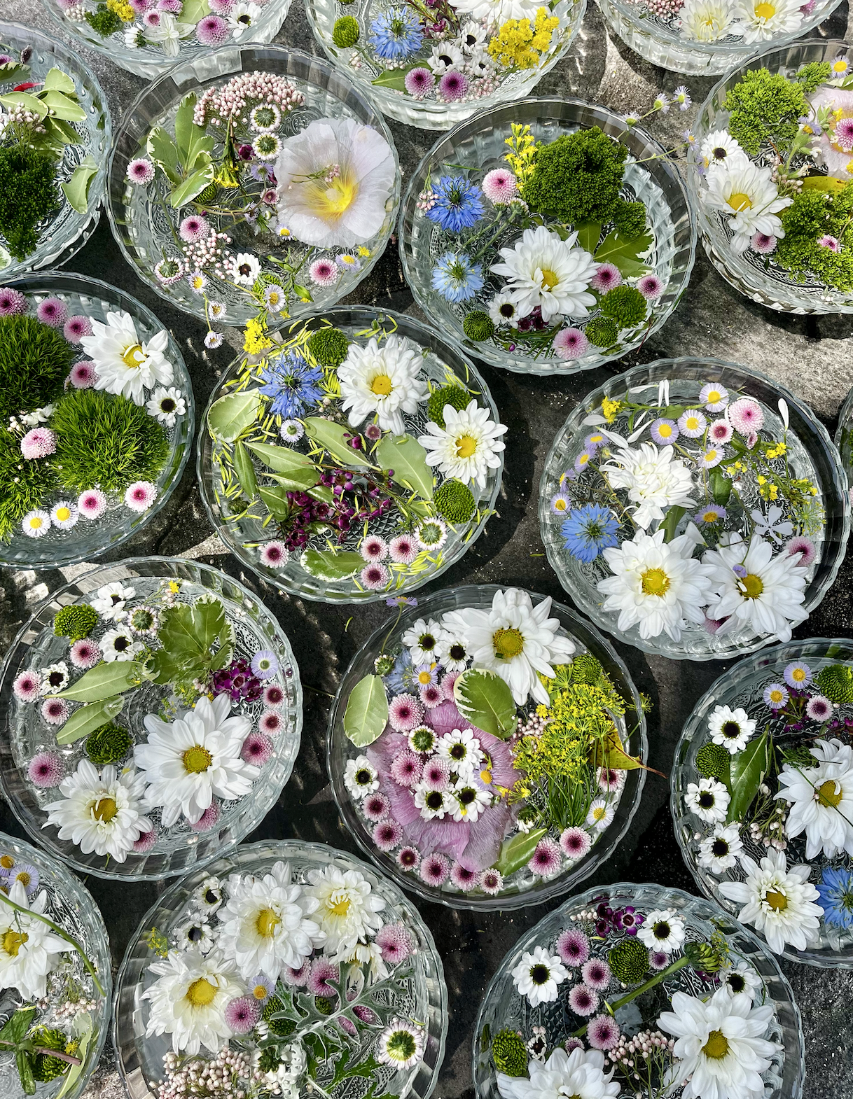 Screen Shot 2026-03-17 at 3.35.16 PM.png