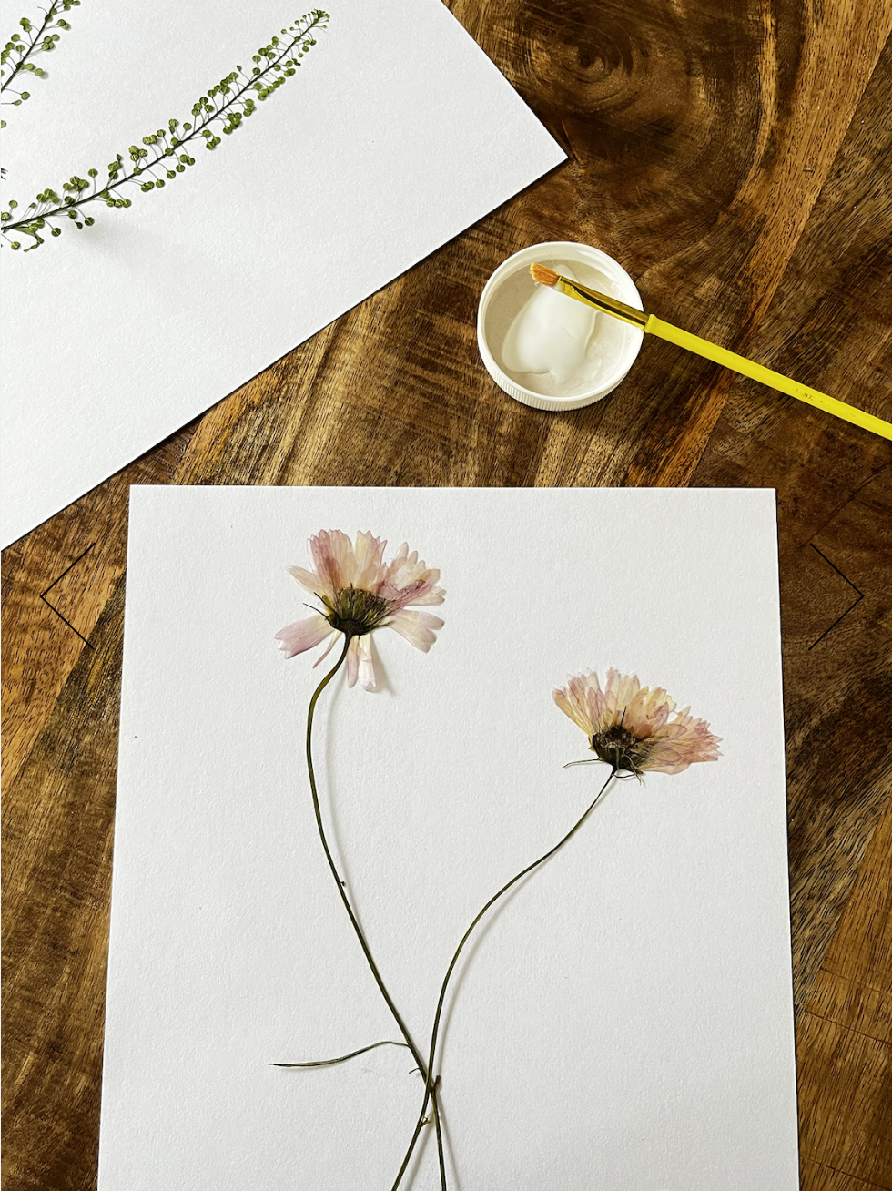 Flower + Foliage Pressing Workshop (In-person •&nbsp;Group)