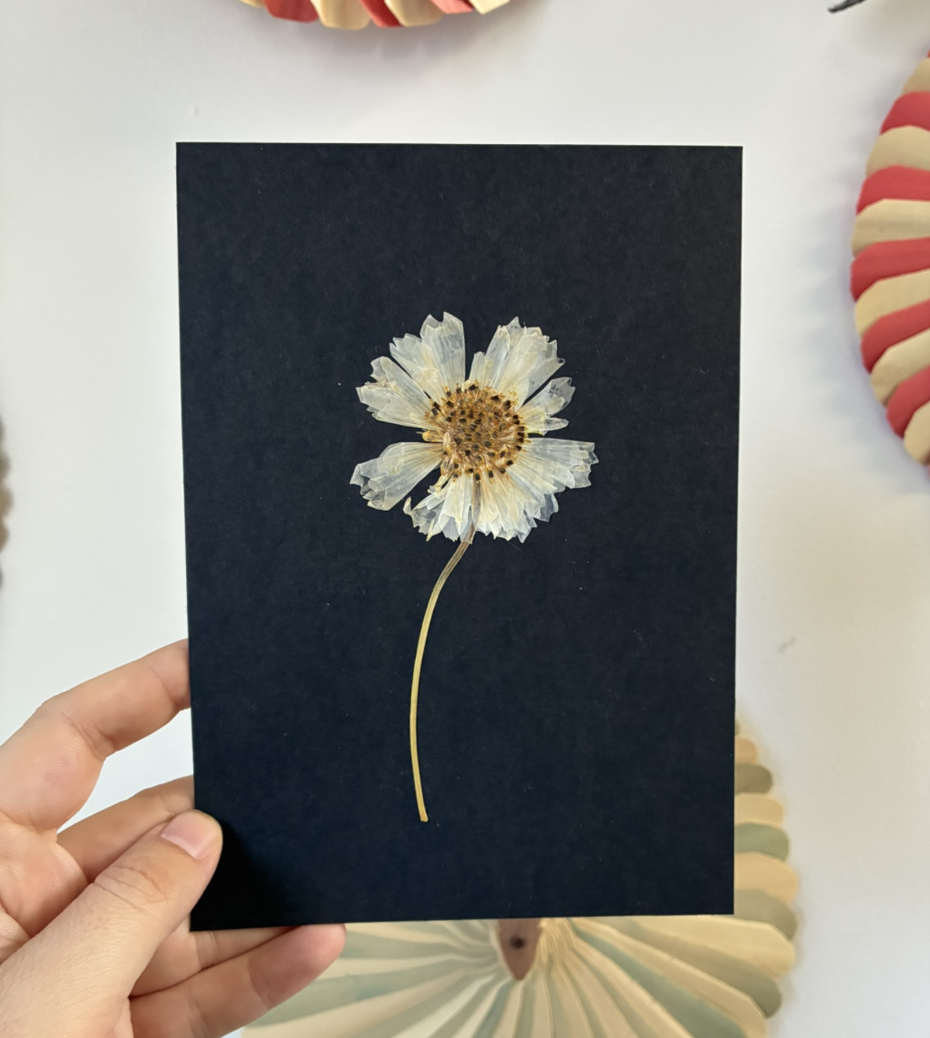 Pressed cosmos. I'm teaching two flower and foliage classes at REDUX in Charleston SC on November 21st and 28th. Click on the image to sign up. 