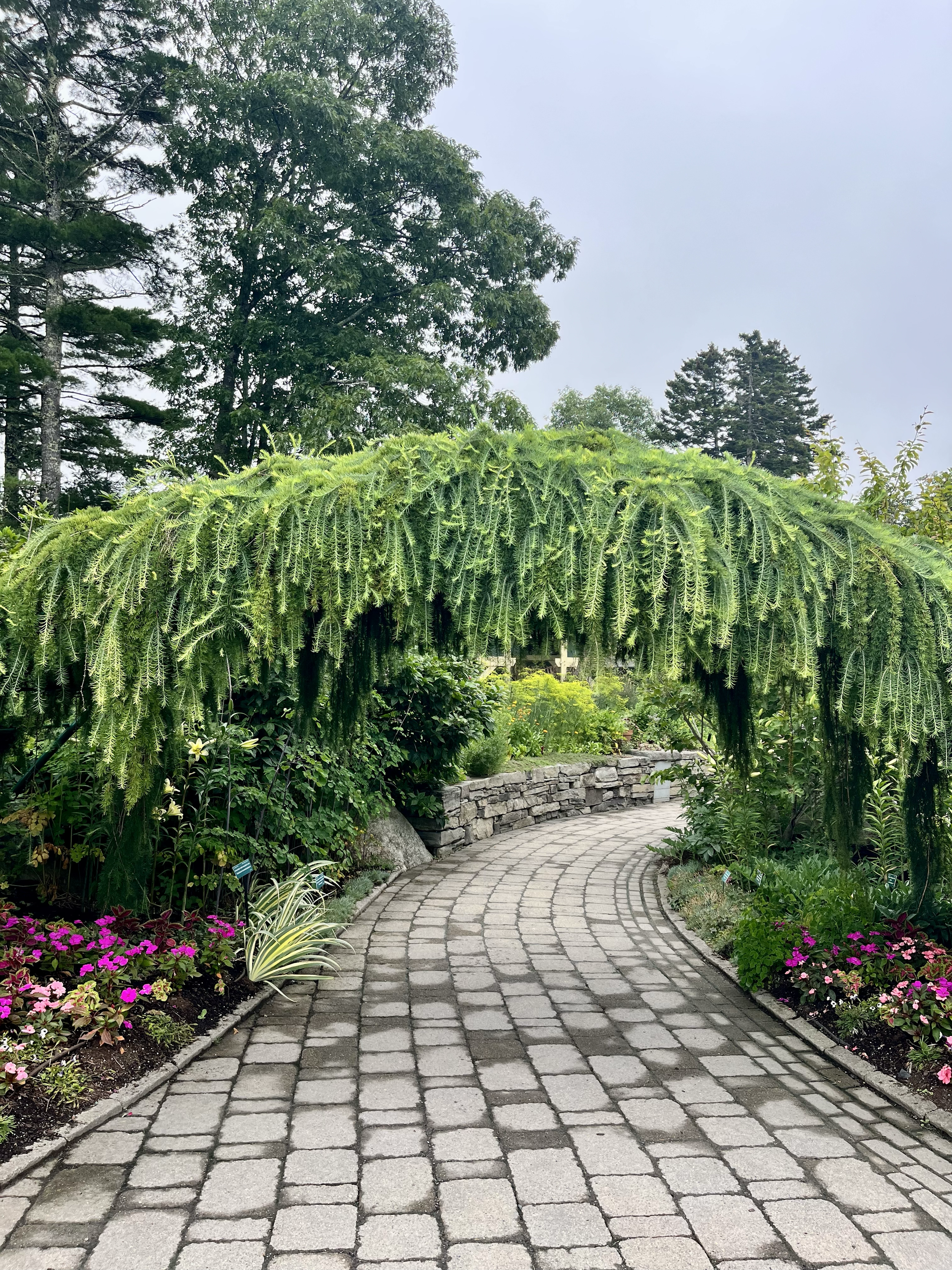 Maine Coastal Botanical Garden (2 of 1,000 photos I took).