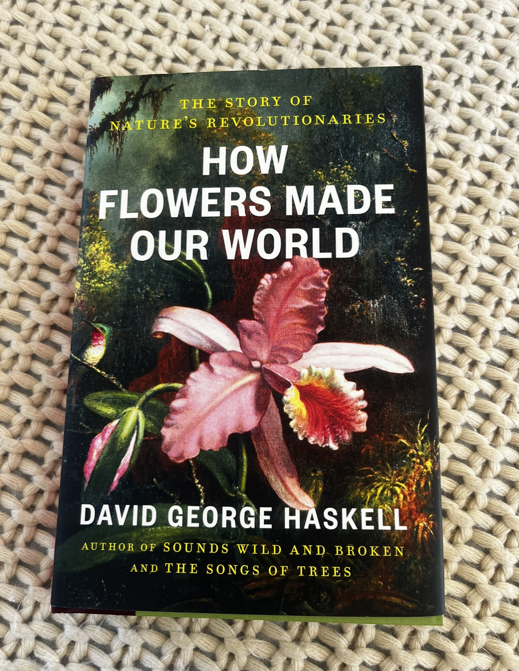 A STUNNER. Click to listen to my interview with David George Haskell. 