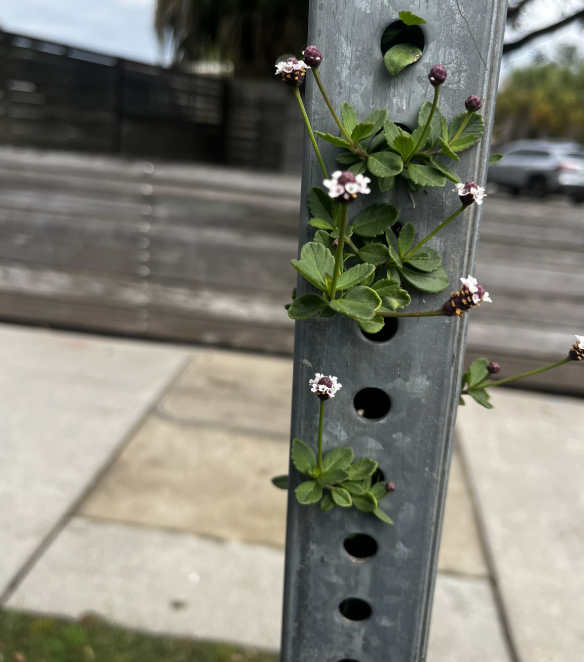 Always find a way.
