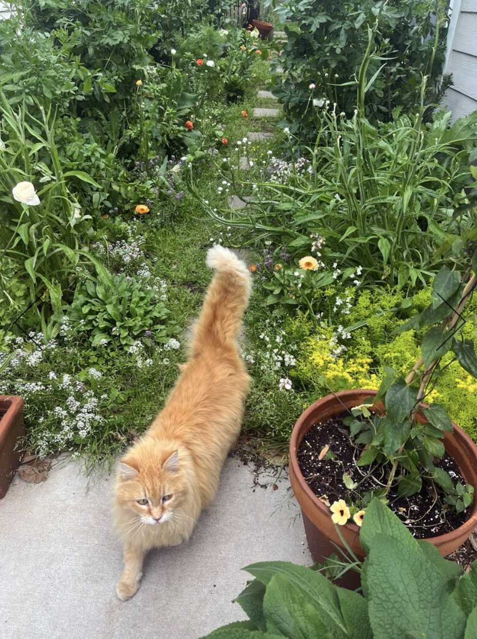 Screen Shot 2026-01-08 at 11.18.19 AM.png