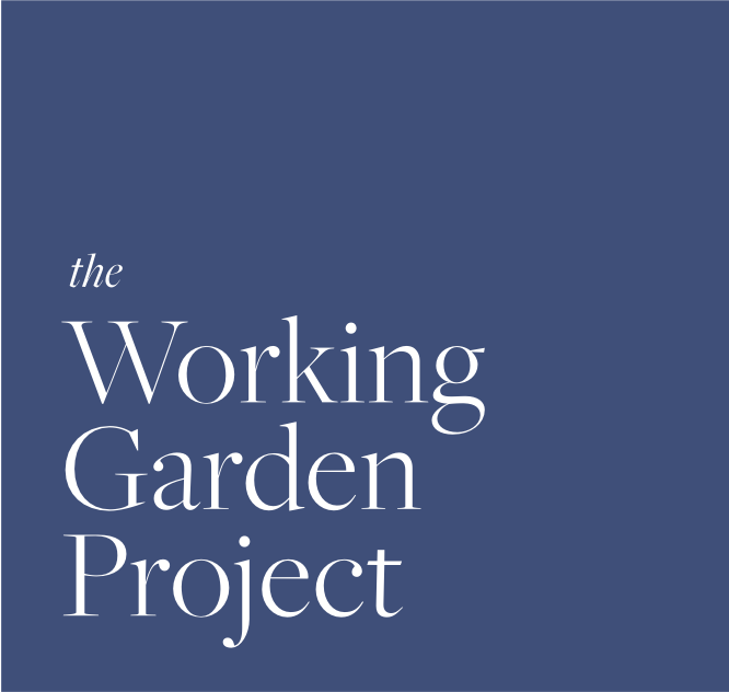 Launched The Working Garden Project this week! Click to learn more about this big new  initiative. 