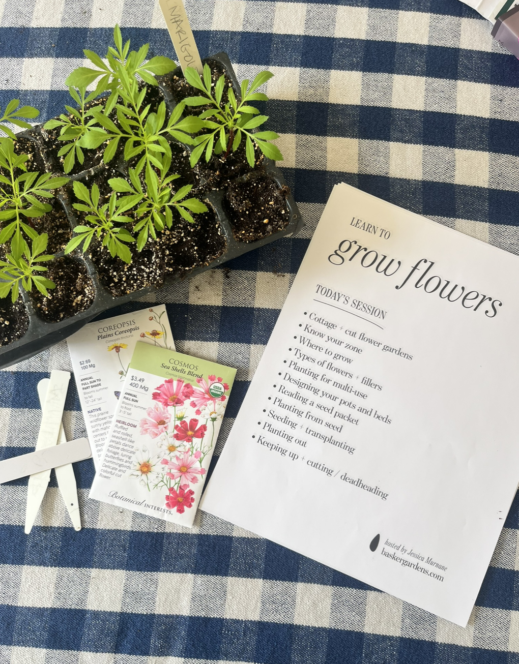 One-on-one session with a new client who wants to learn how to grow a cut flower garden. 