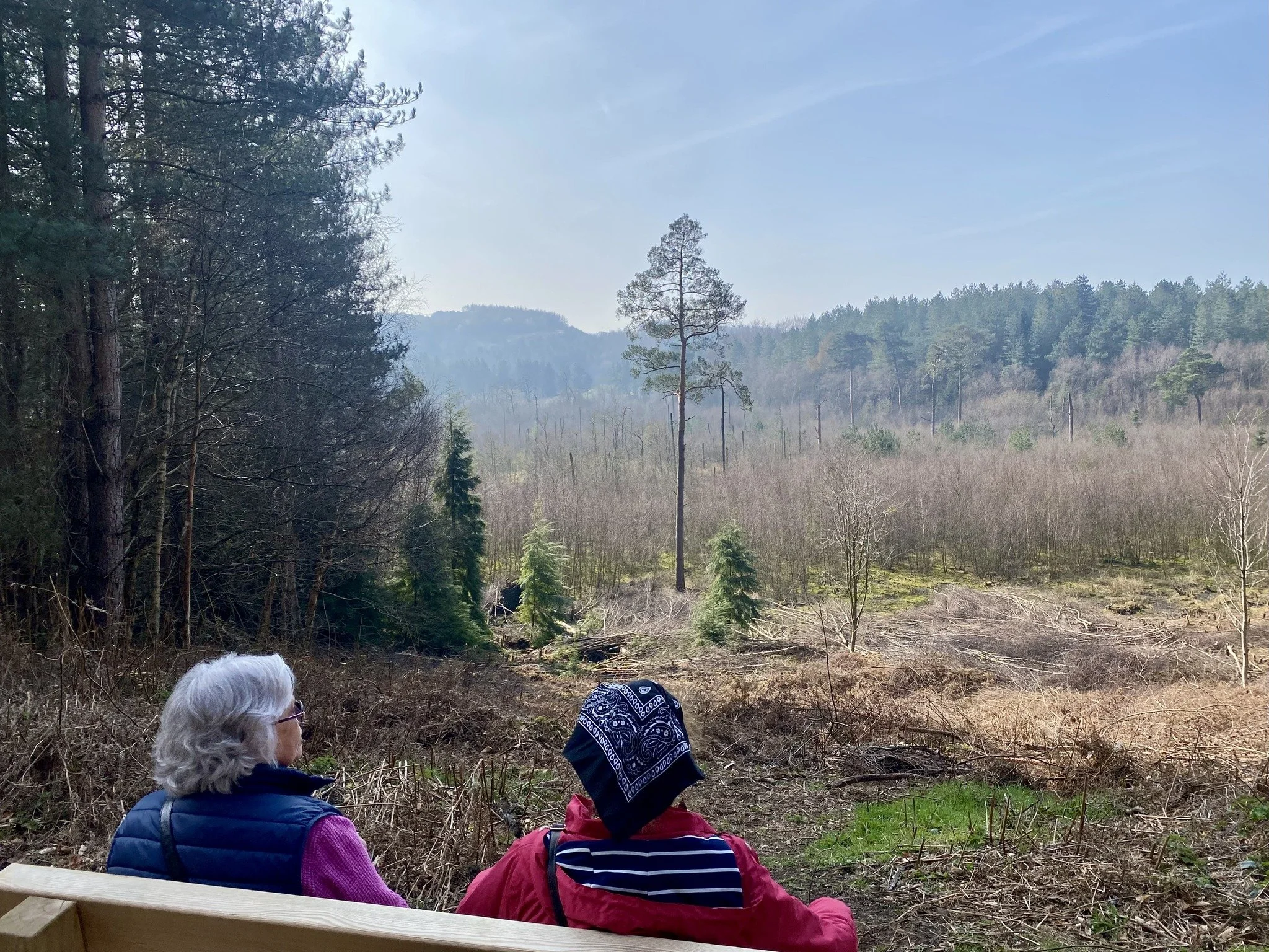 Delamere2 Les French.jpg