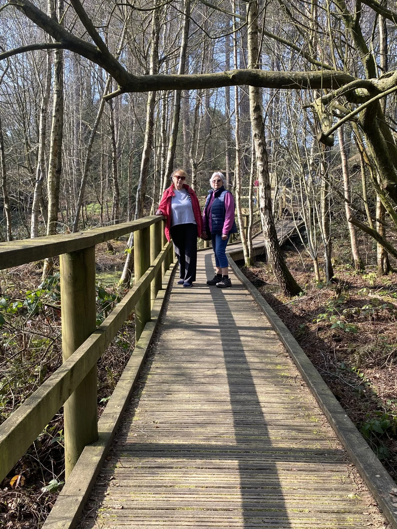 Delamere4 Les French.jpg