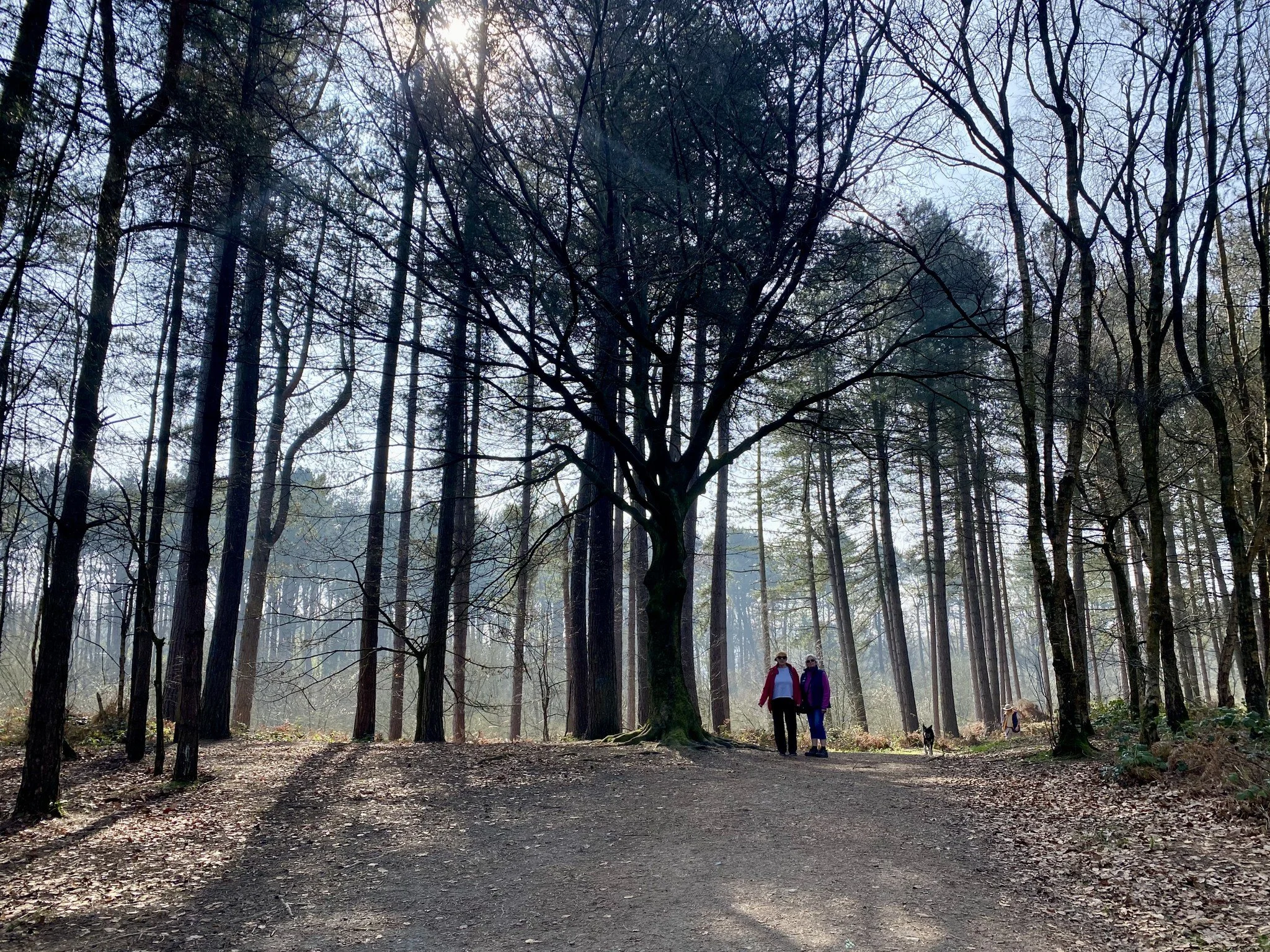 Delamere5 Les French.jpg