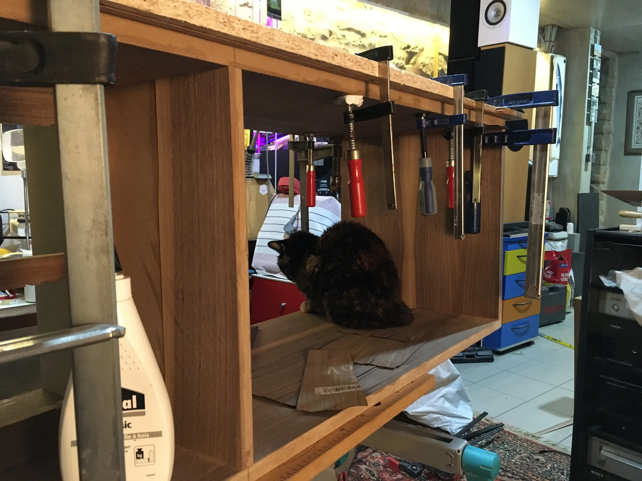 A black and brown cat sitting inside a wooden workbench with clamps hanging from the top, in a cluttered workshop or garage space.