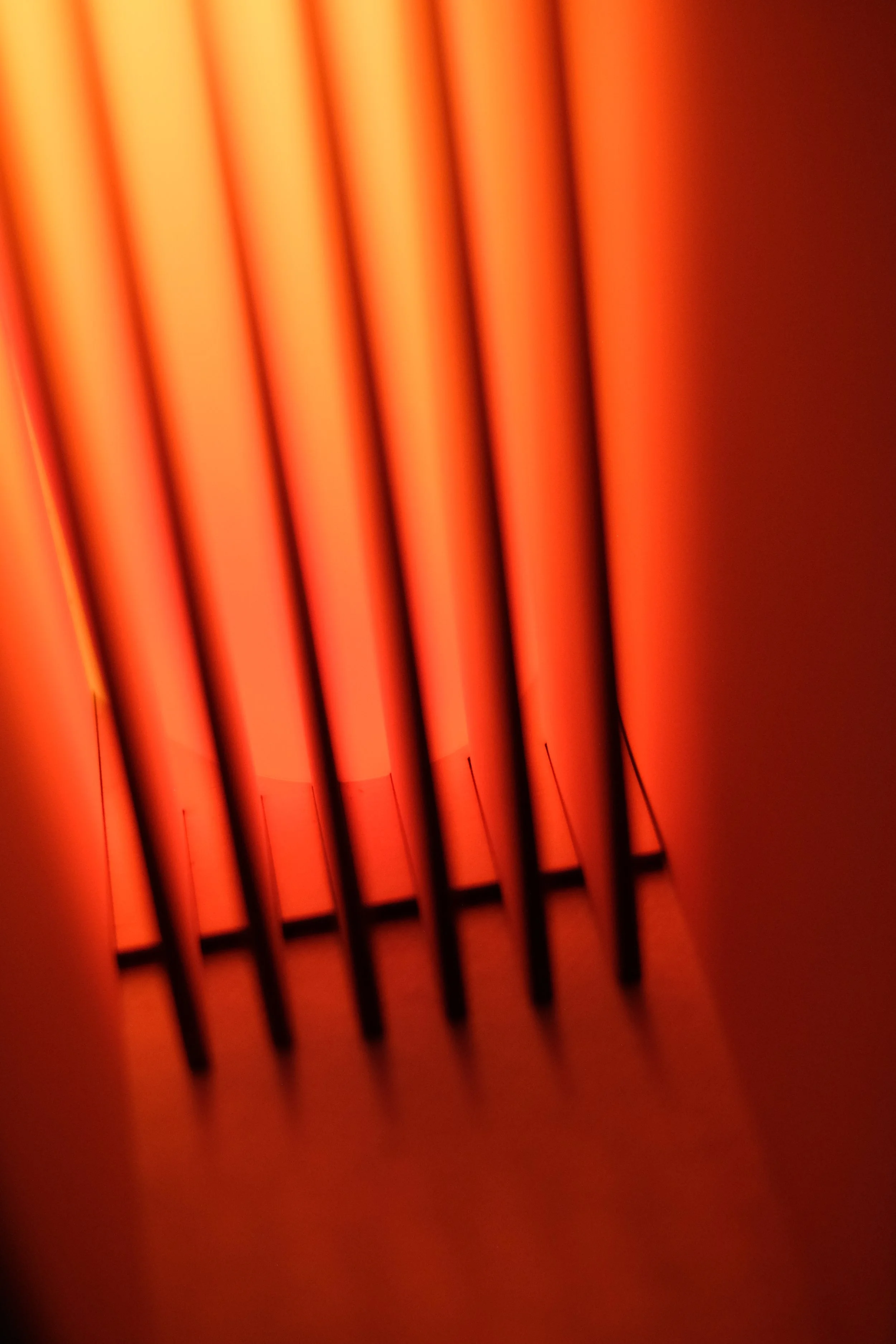 DSCF6857.JPG