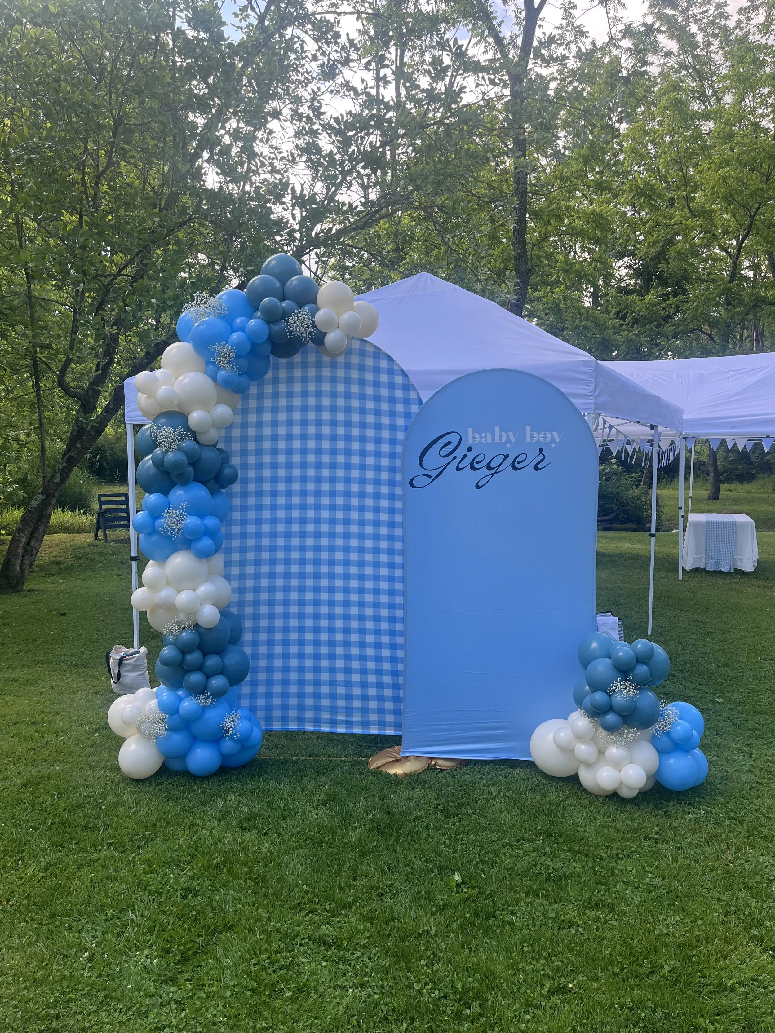 Balloon Garland Baby Shower