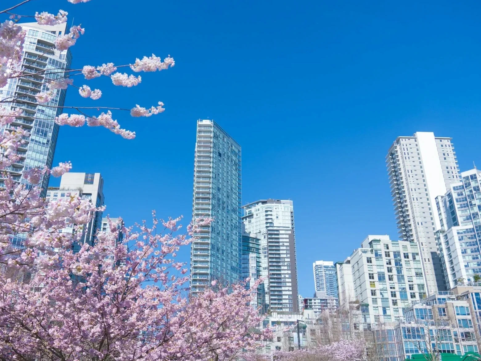 7 Reasons Why Spring Cleaning is Essential for Strata Buildings