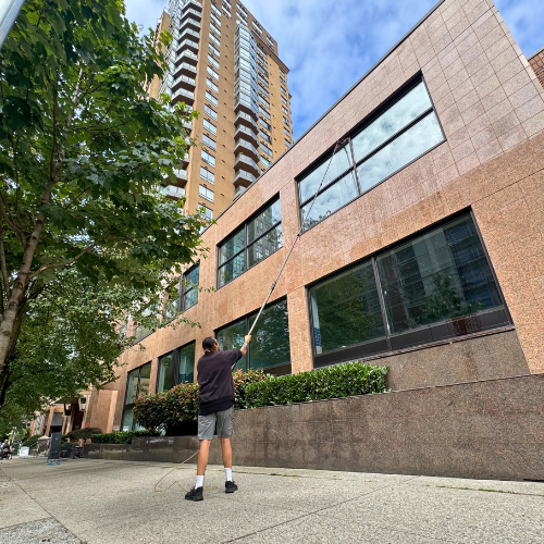 Water-fed pole window cleaning system for commercial building exterior