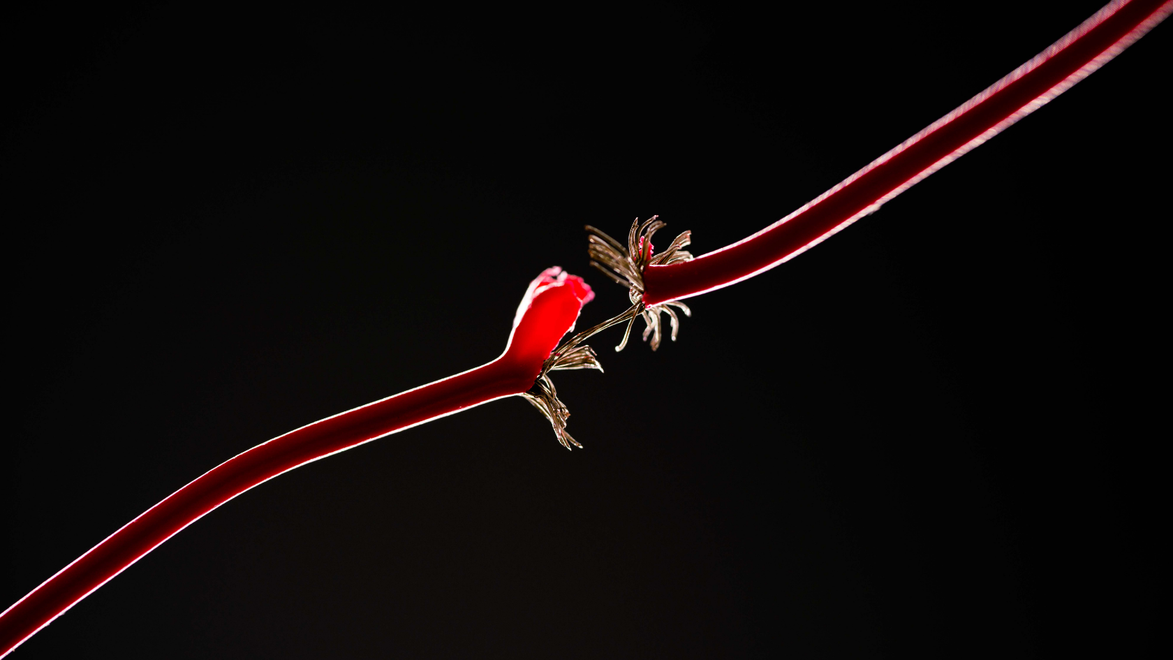 Taped-On Protection: Why Structural Integrity is the Bedrock of Trust | ASI