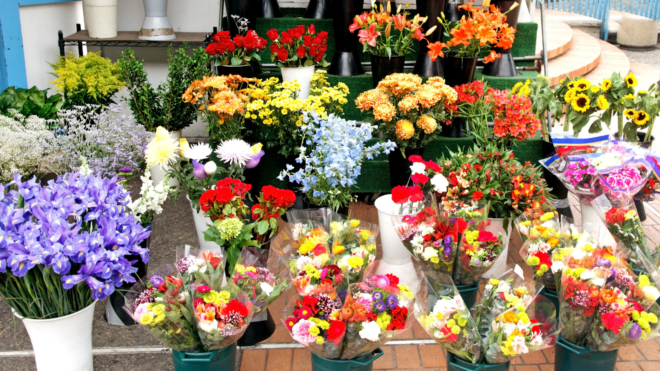 The Spring Security Audit: Aligning Technology with the Season | ASI