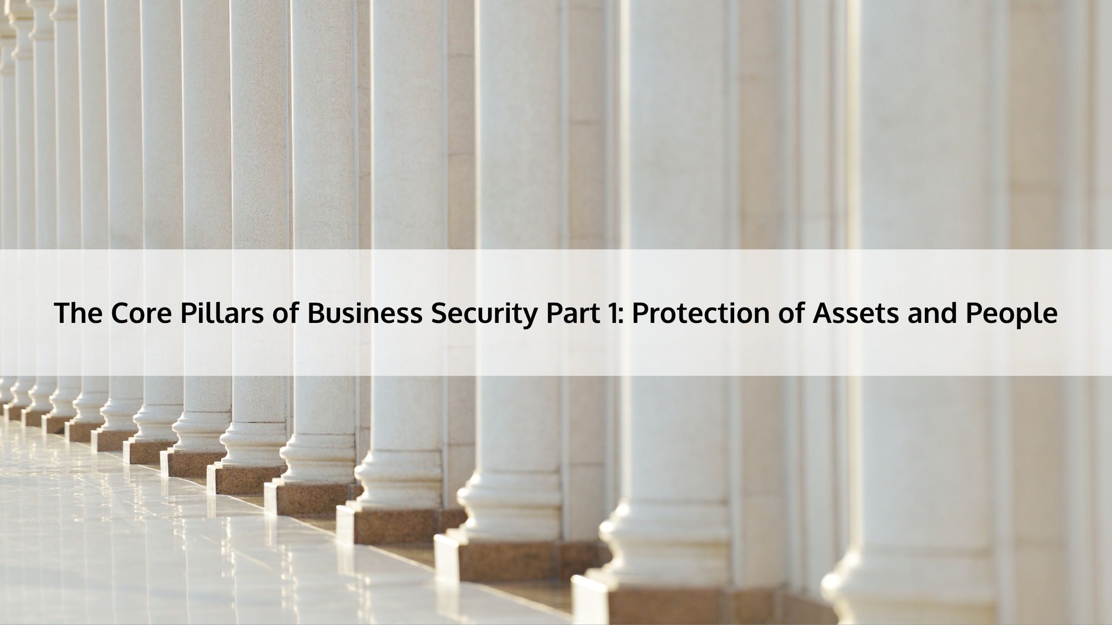 The Core Pillars of Business Security Part 1: Protection of Assets and People | ASI