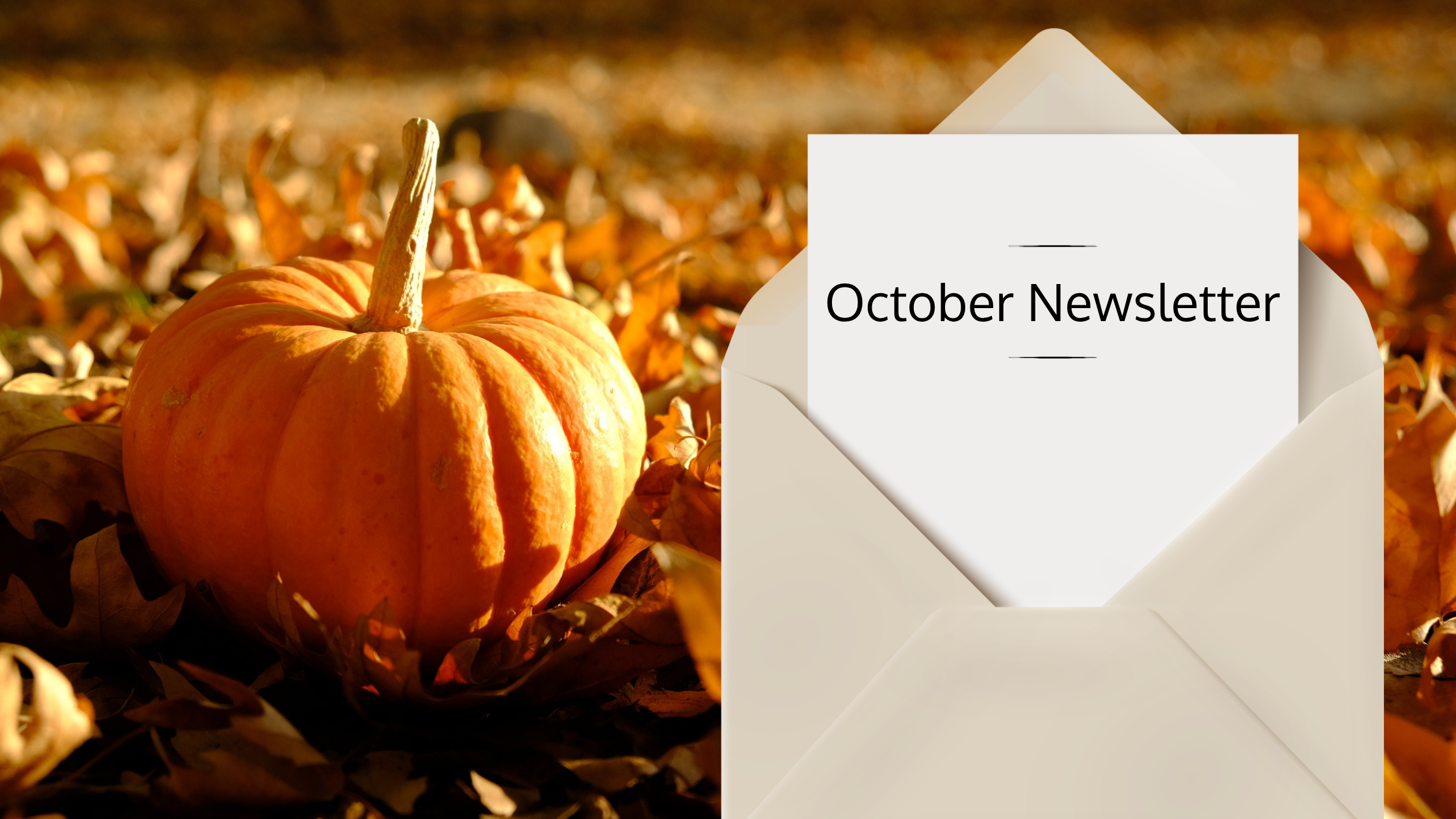 Your October Newsletter | ASI 
