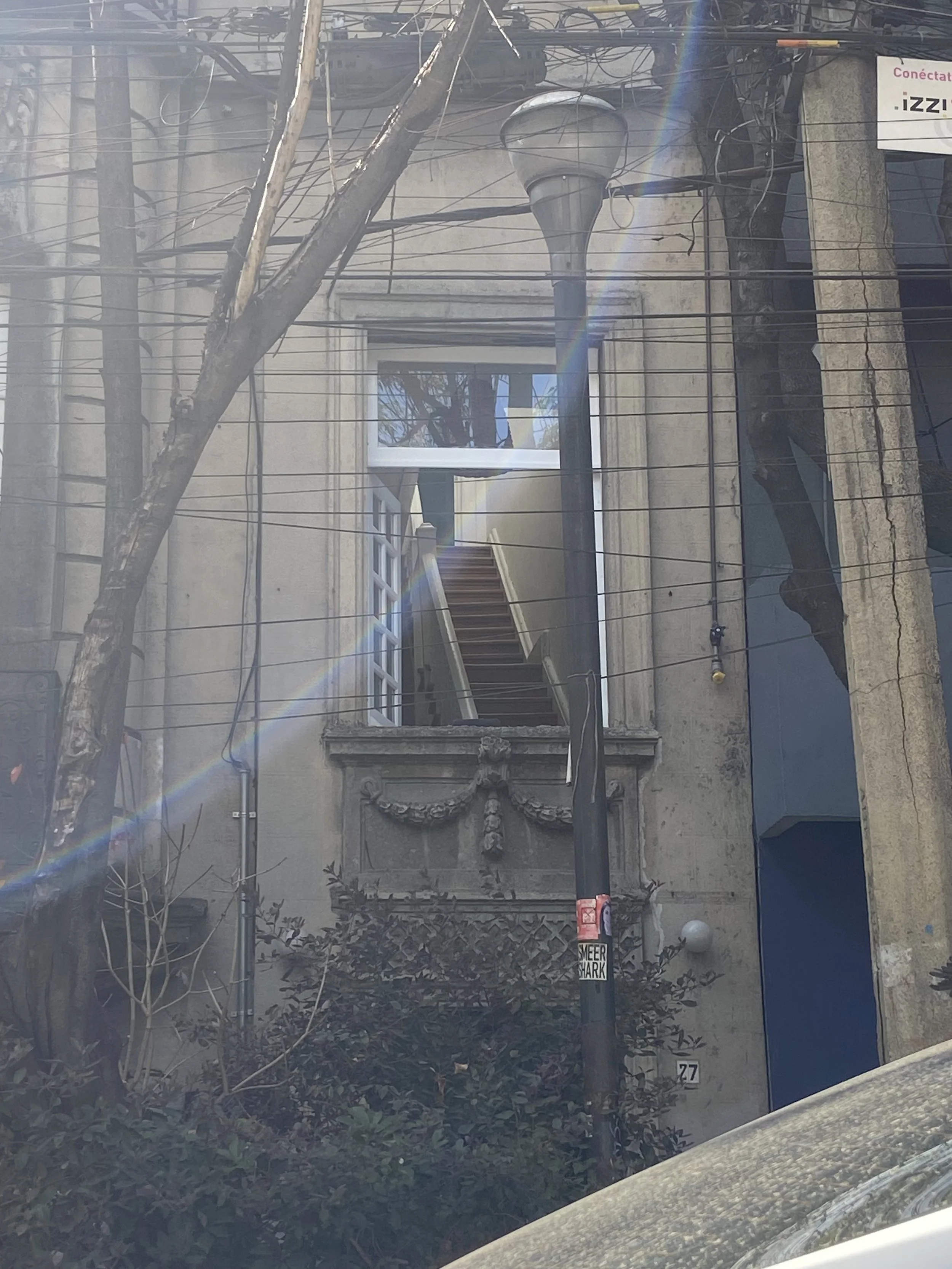 IMG_6769.jpeg