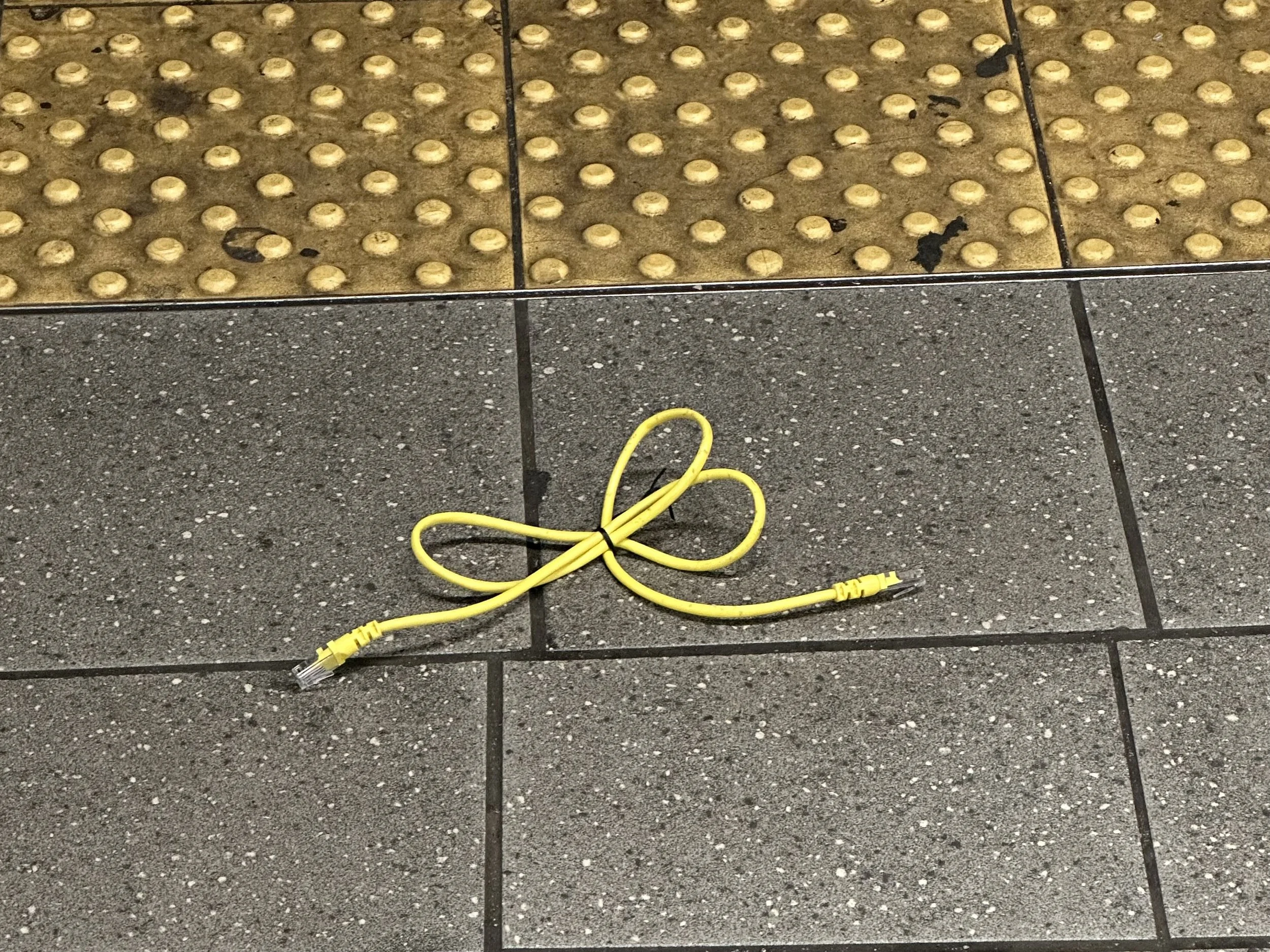 IMG_2334.jpeg