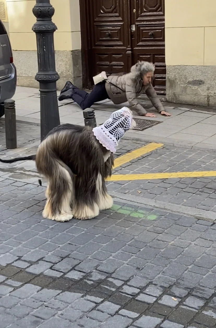 IMG_3776.jpeg