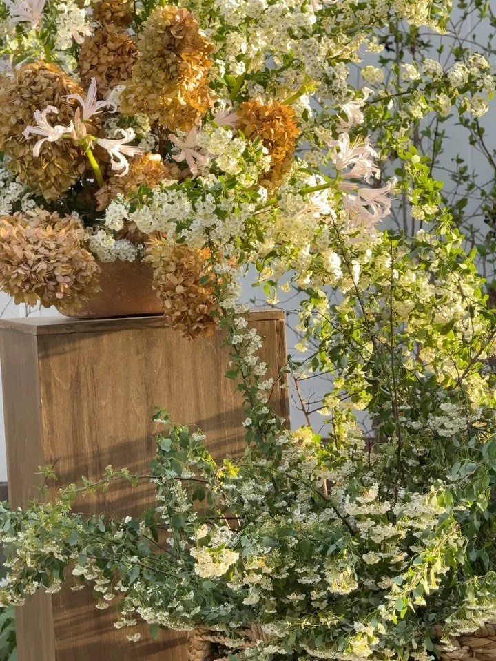 Give me hydrangea + calla lily + pearls everyday ,, I&rsquo;ve been holding onto this coastal inspired sunset ceremony with @izziekarrenphoto 
.
.
.

summer wedding flowers | pedestal floral arrangement | fall wedding florist | nirine lily | spring w