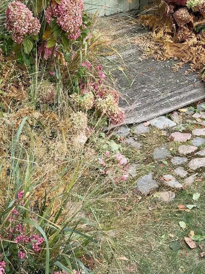 daydreaming today &mdash; caption in post
.
.
.

autumn on the cape workshop w/ @gatherfloral @harvestfloralcompany @linfloralco