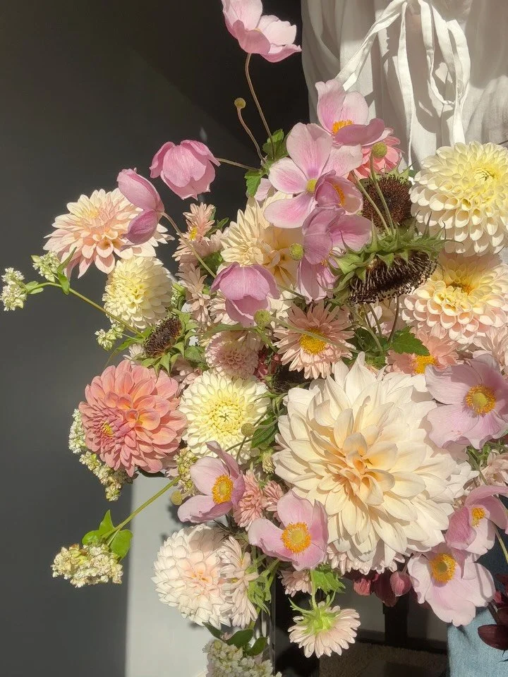 Finding the morning sunlight &mdash; Whimsy modern pinks for Miranda