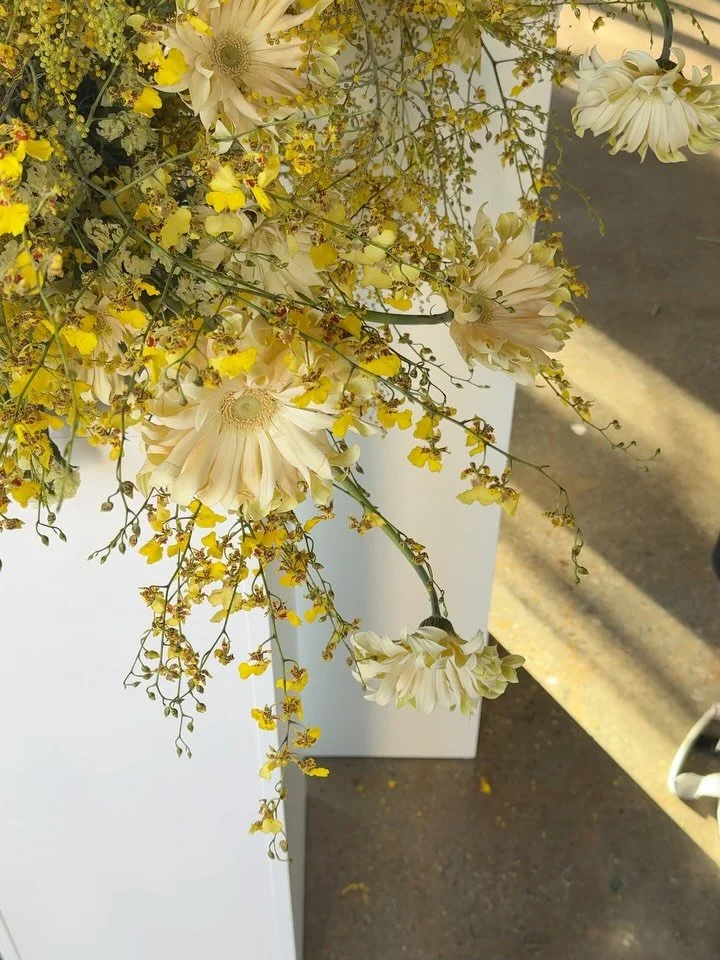 BUMBLE x TERRA FLORA &mdash; 1.10.26

@fosteratx 
@bumble 
@thehearthutah 

Forever obsessed with these pale yellow pasta gerbs 💛