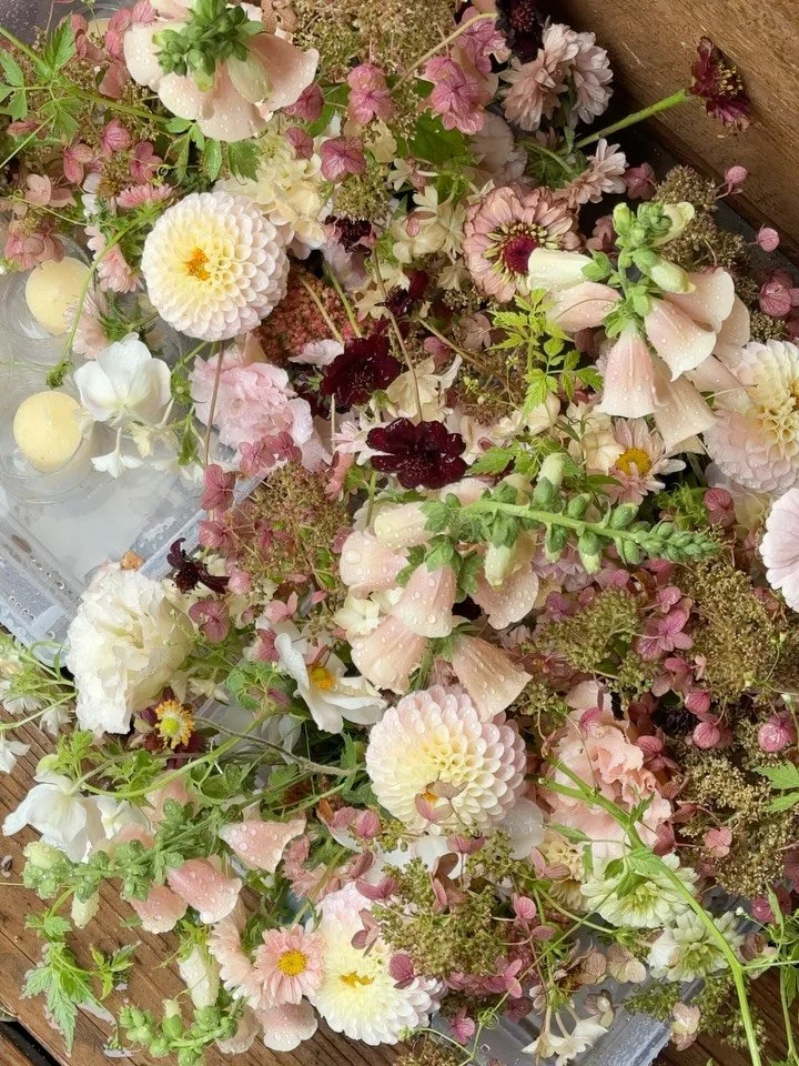 Rainy Sundance ambience for A + R&rsquo;s dreamy mountain wedding &mdash; textural fall palette of pinks &amp; burgundy w/ rich wooden accents

@apkipps