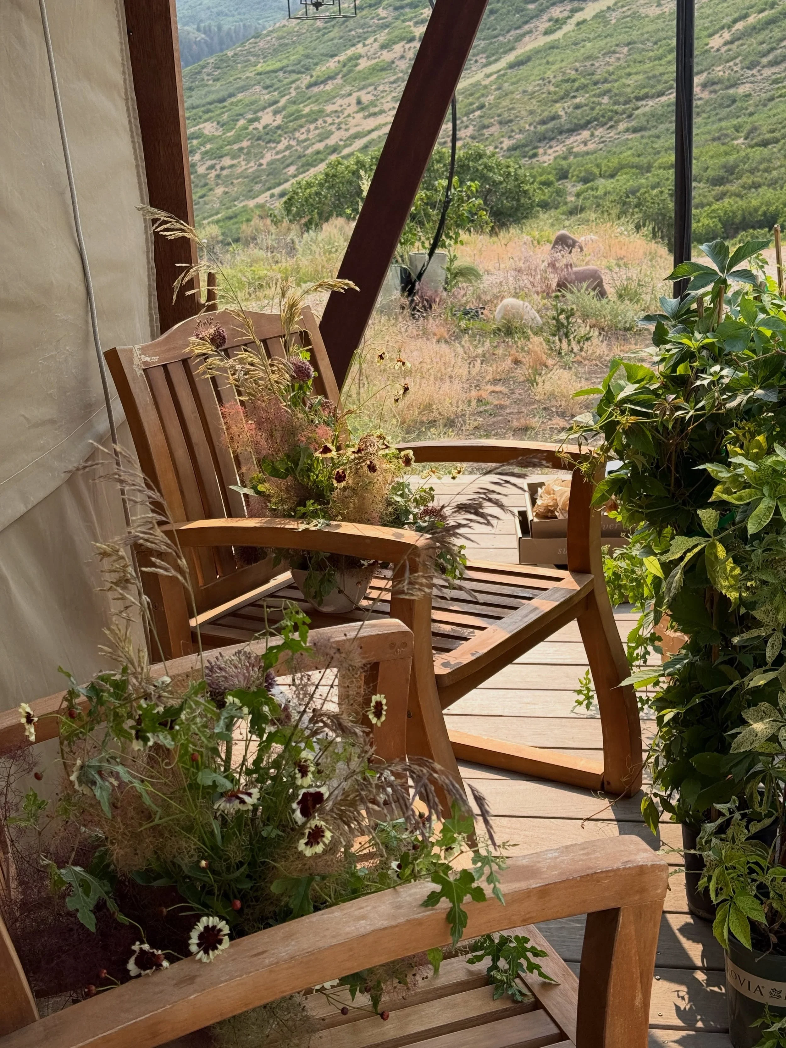 A quiet moment in the hustle &mdash; These bars patiently waiting their debut

Planning @plumeeventco 
Venue @blueskyauberge