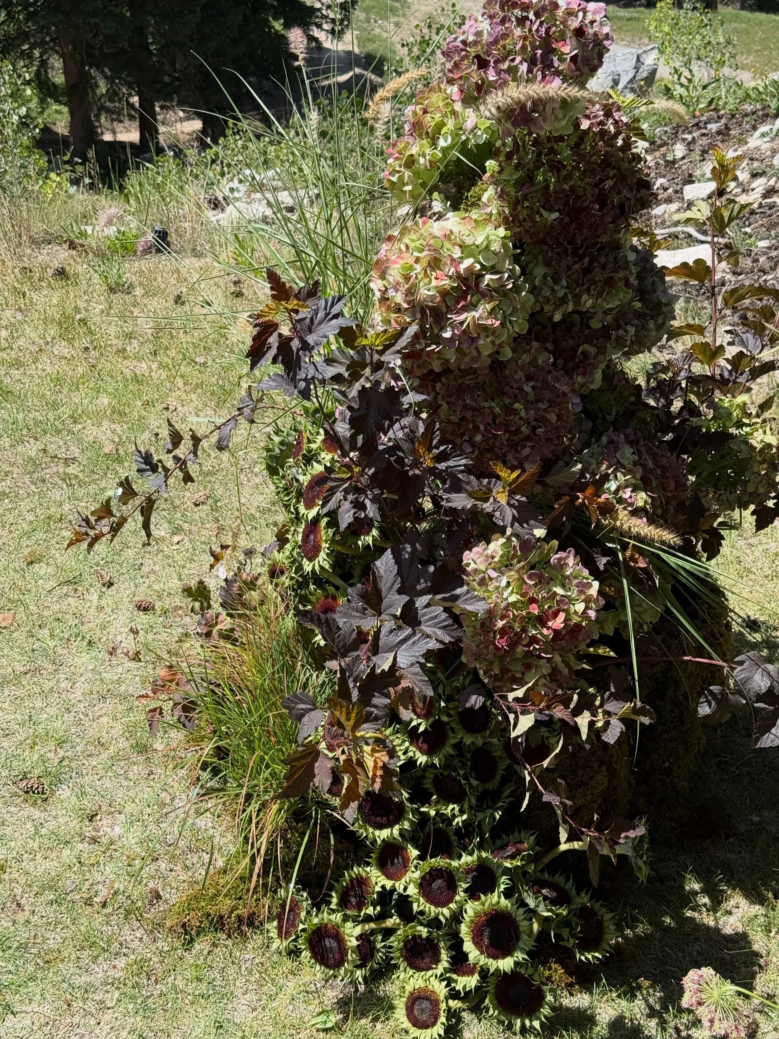 Candid &ldquo;during the process&rdquo; iPhone shots from the celebration of C + D. 

Atop a mountain, a new take on chartreuse and burgundy &mdash; a river of sunflower heads

@solitudemountain 
@cheykphoto 
@wildpinescollective 
@daltonandbreanna 
